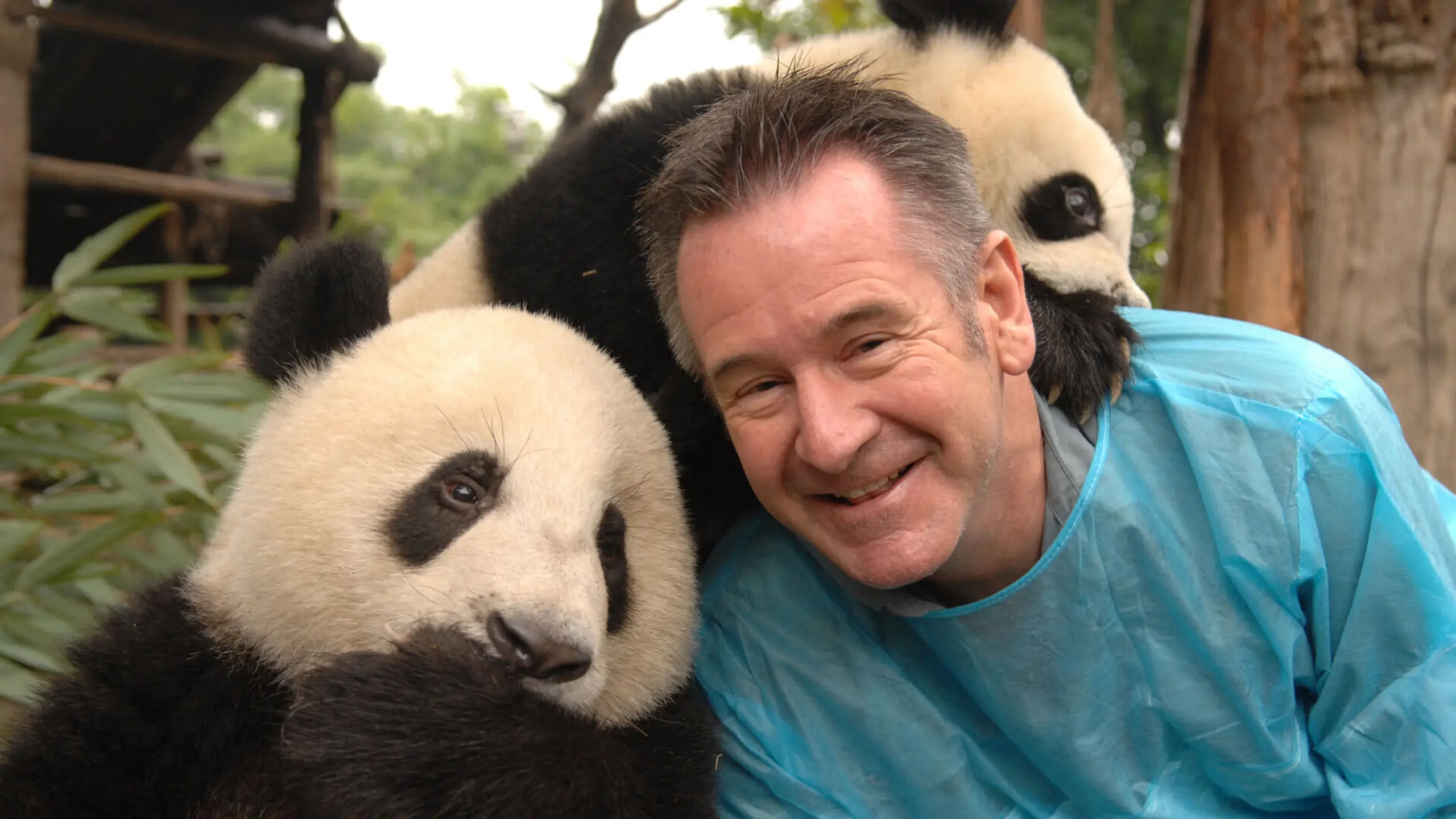 Panda Adventure with Nigel Marven