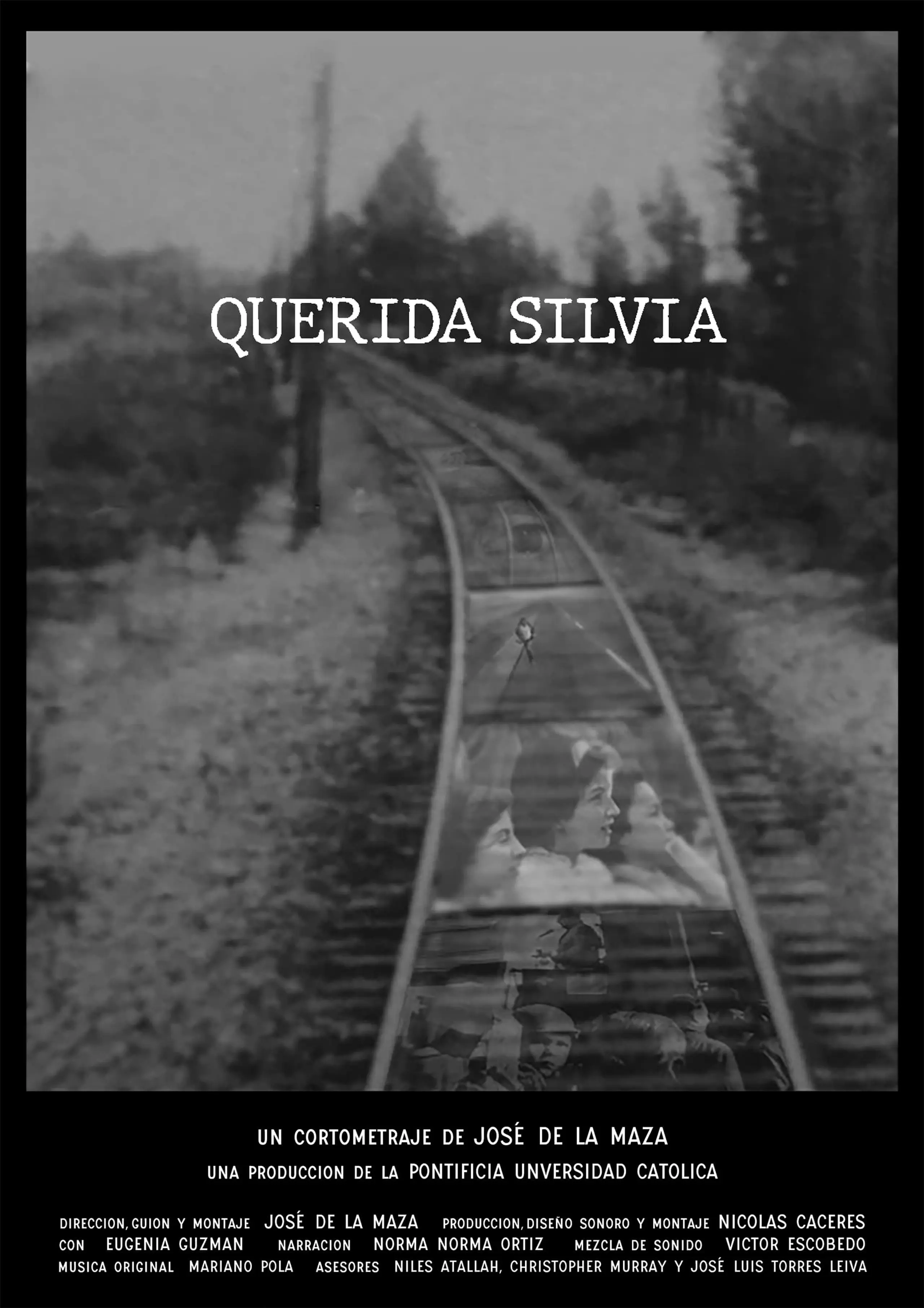 Querida Silvia