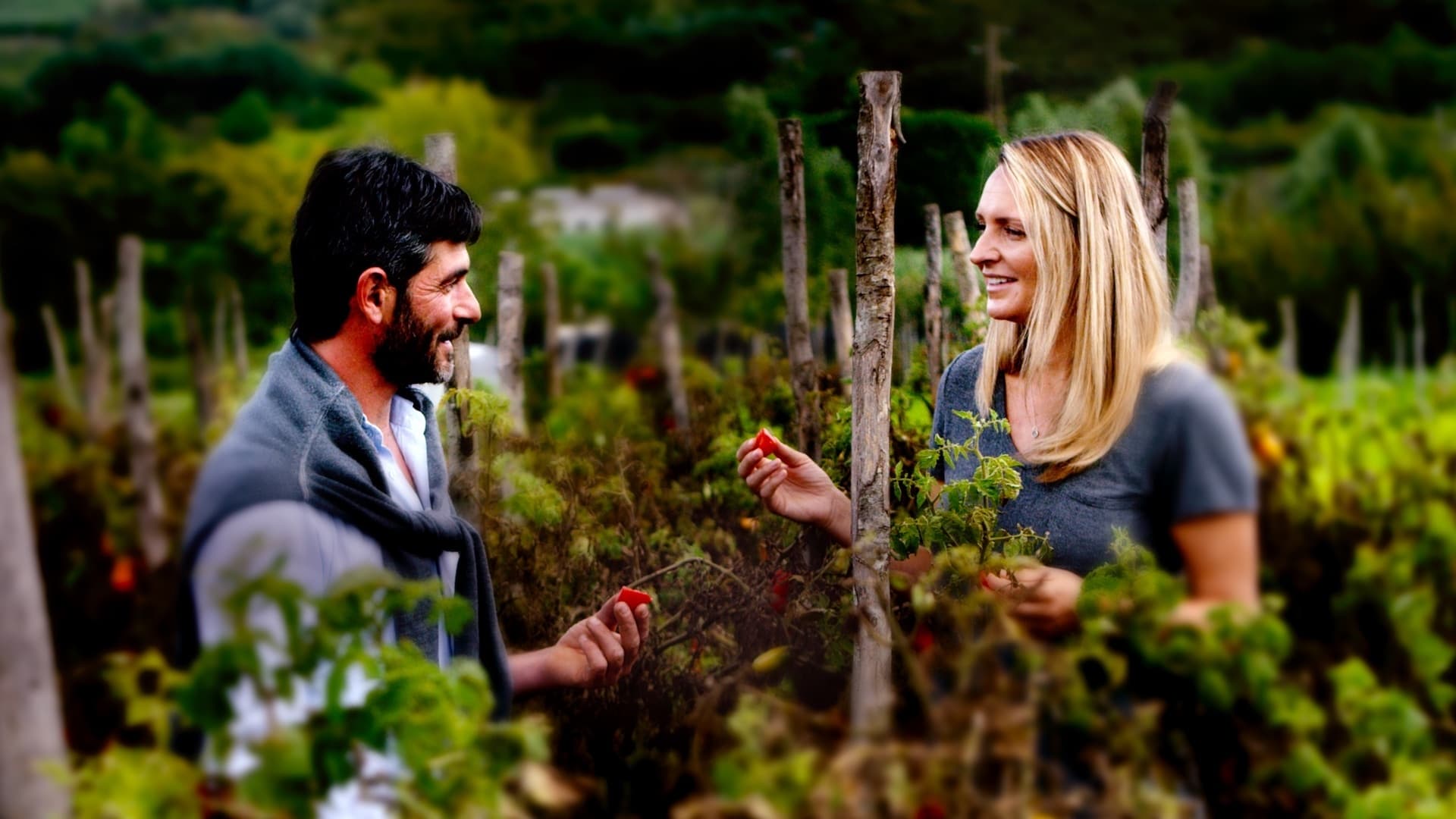 The Global Farm | Serie 2020 | TV-MEDIA