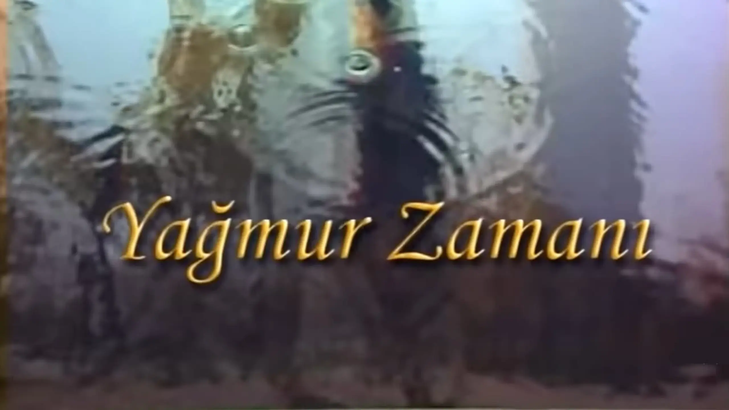 Yağmur Zamanı