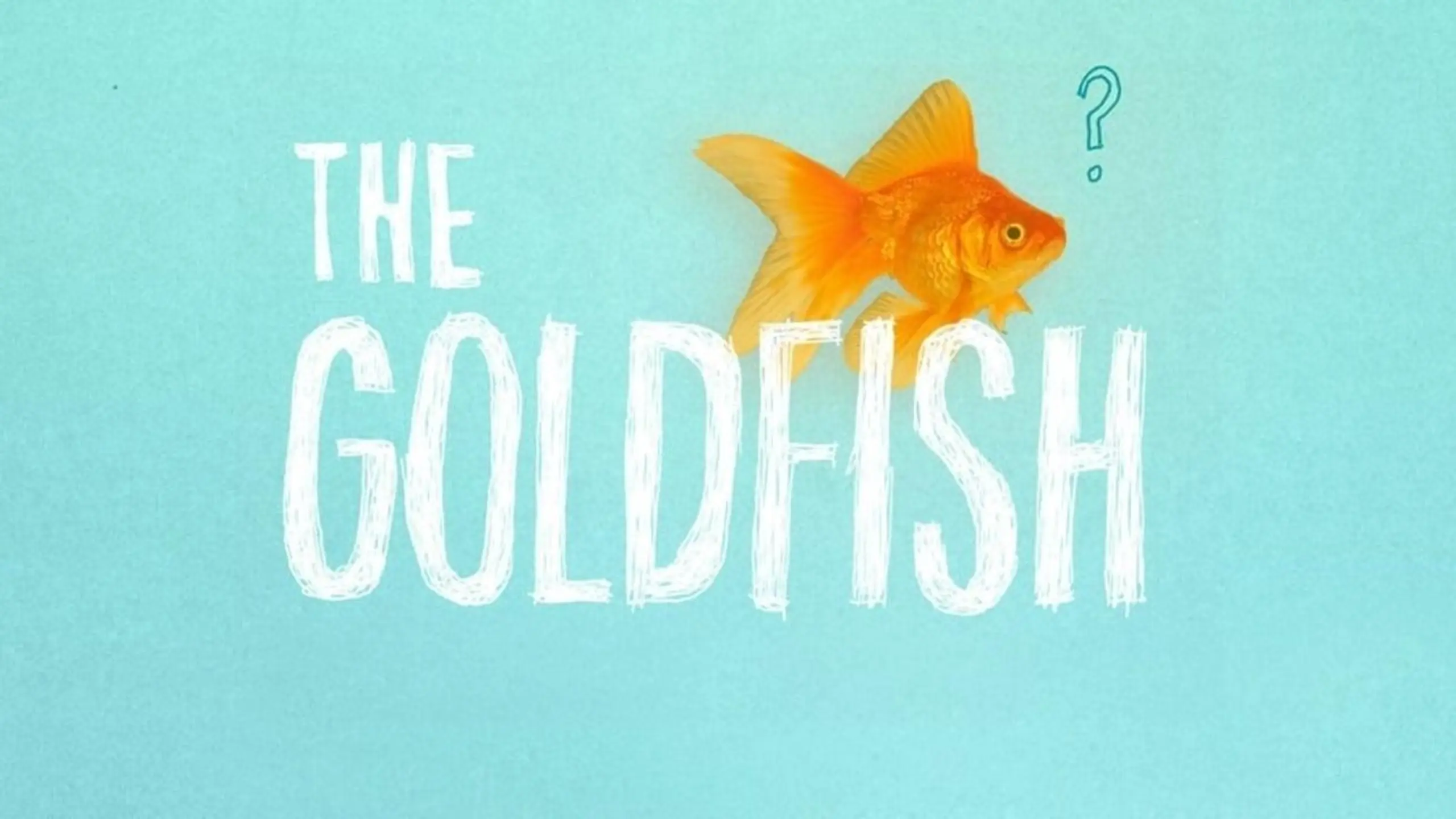 The Goldfish