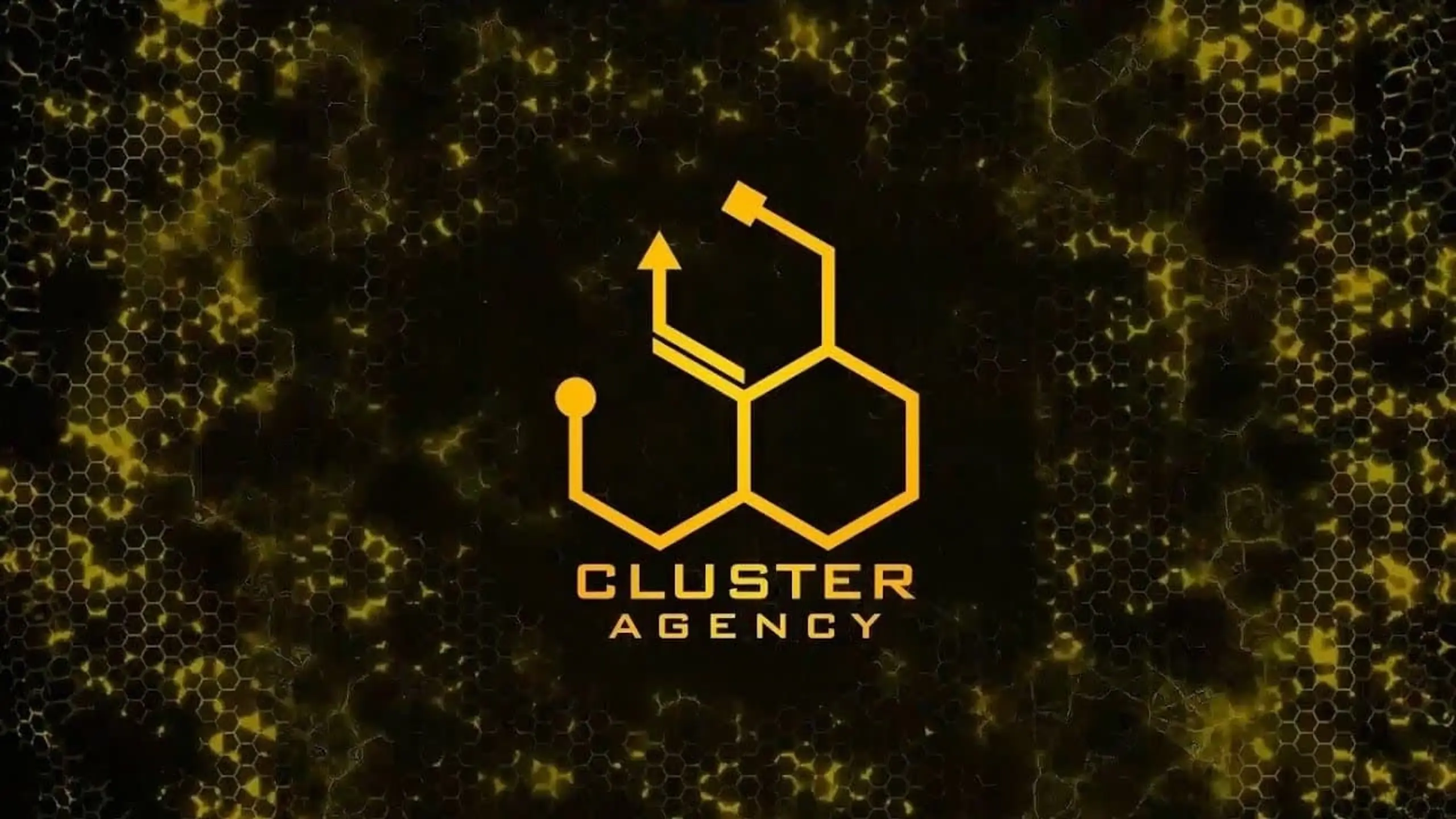 Cluster Agency