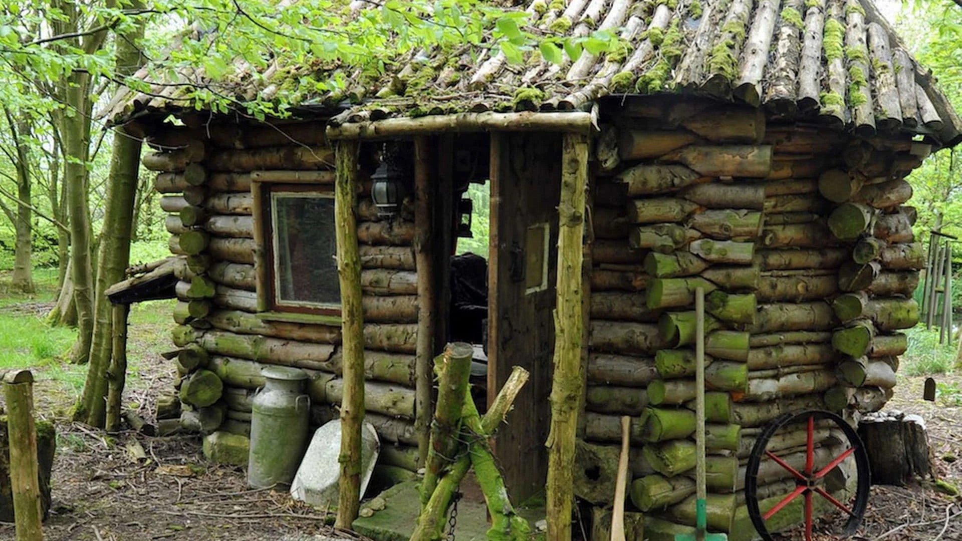 Amazing Spaces Shed of the Year