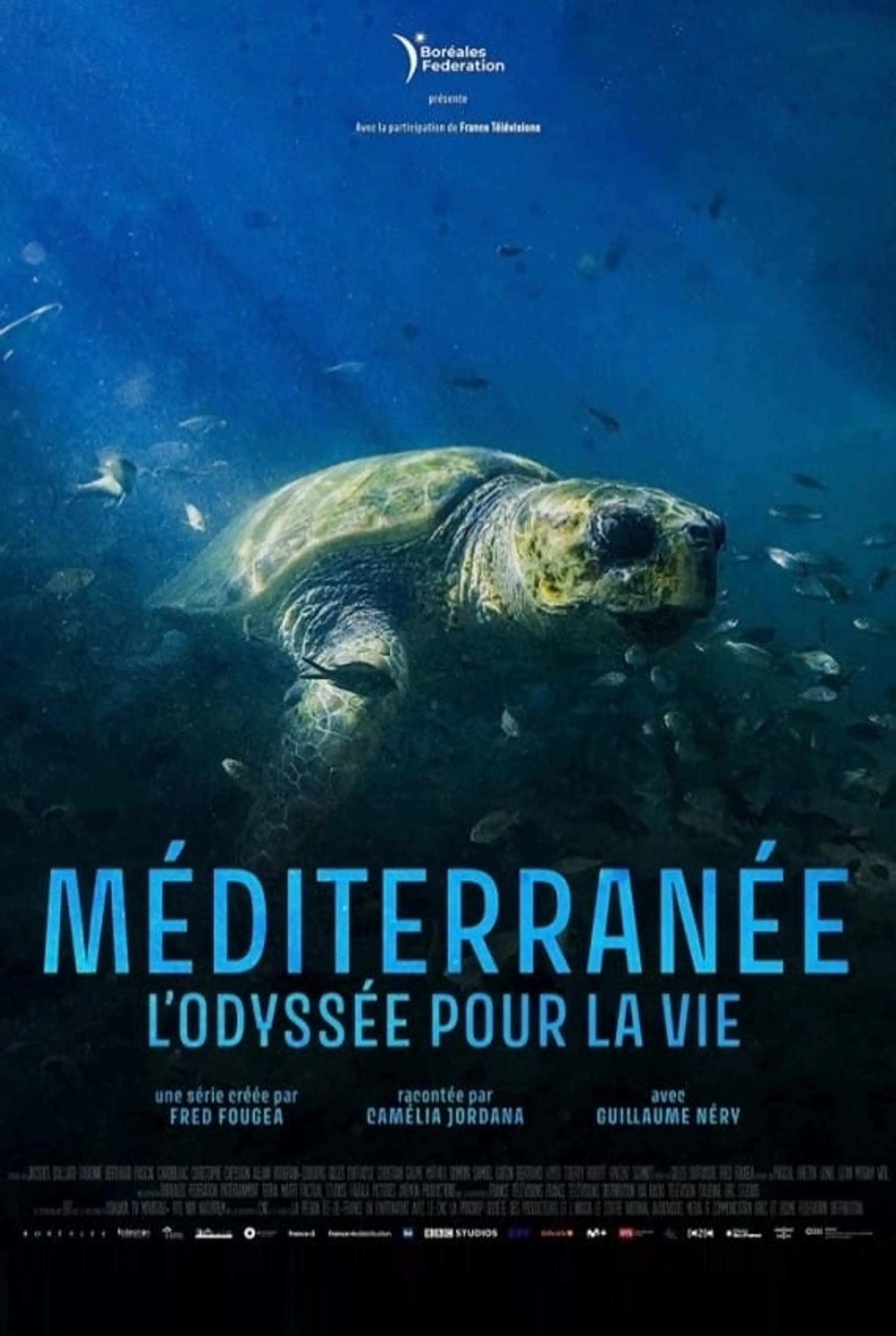 Méditerranée, l'odyssée pour la vie