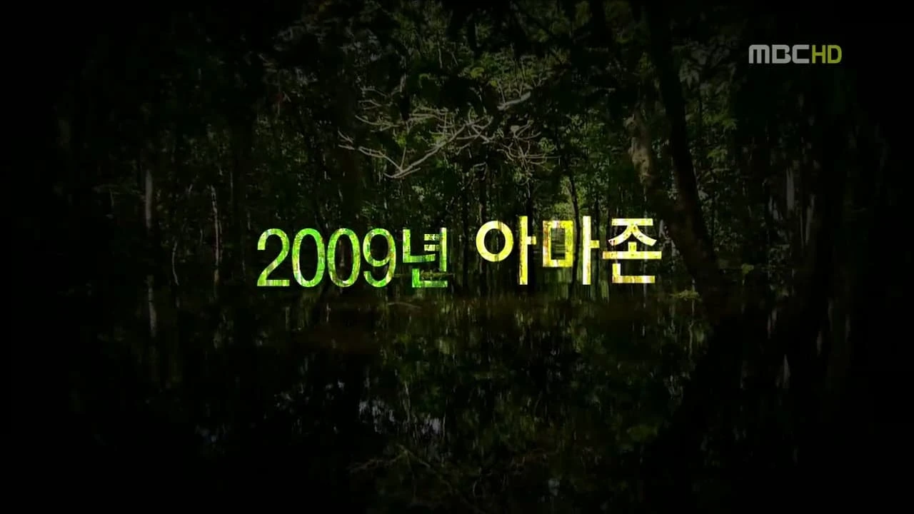 MBC 창사특집 다큐멘터리 아마존의 눈물