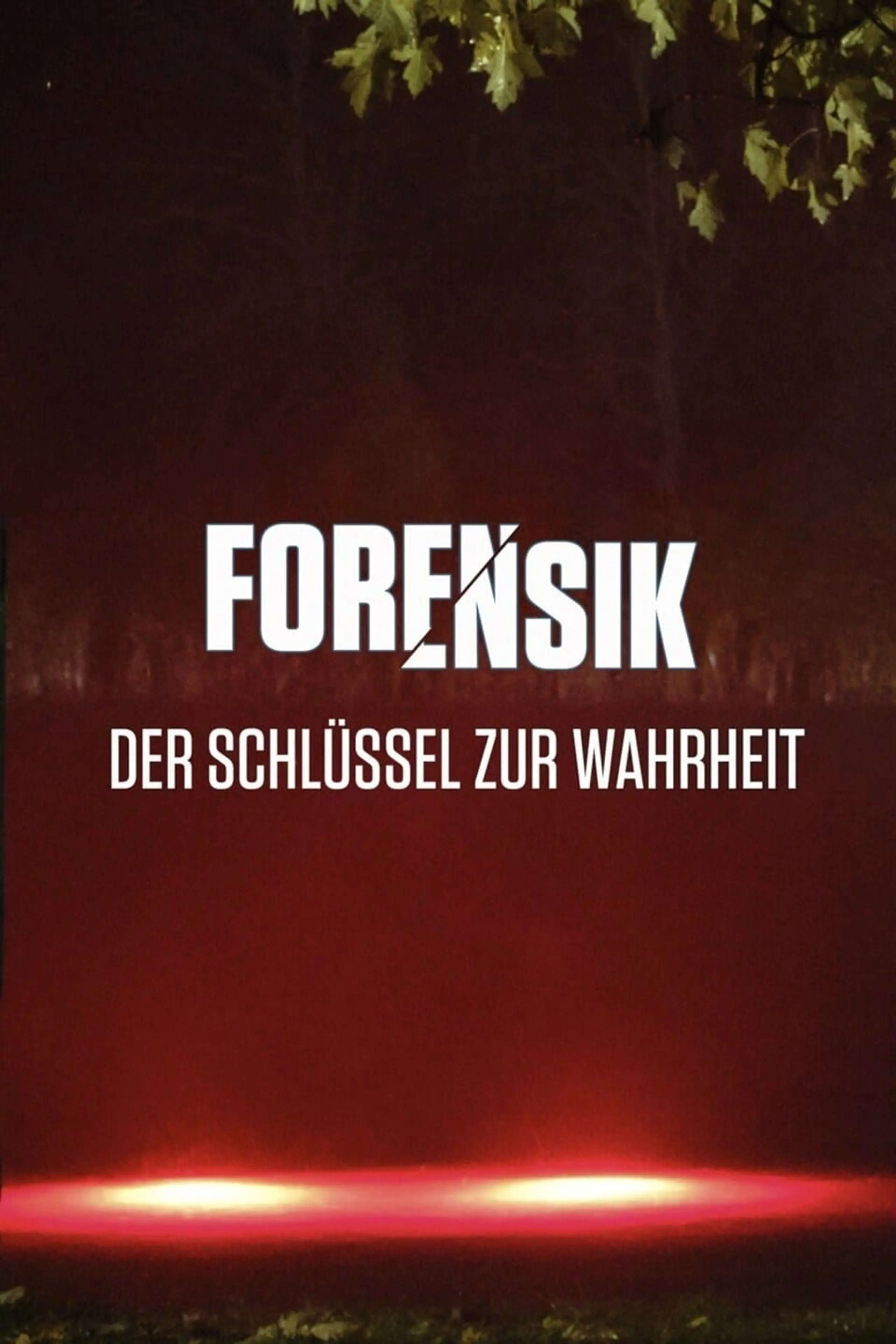 Forensik - Der Schlüssel zur Wahrheit