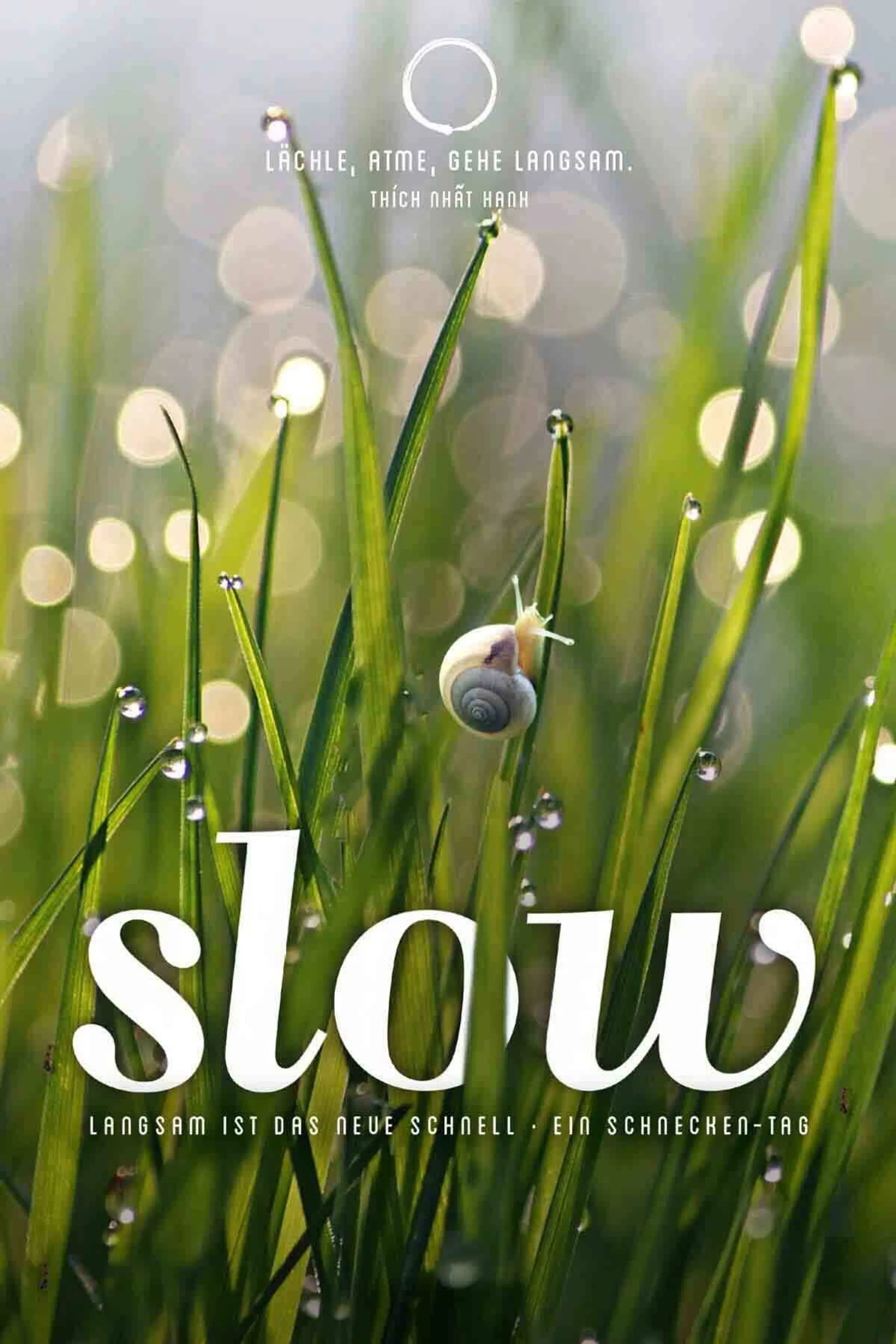 Slow - Langsam ist das neue schnell