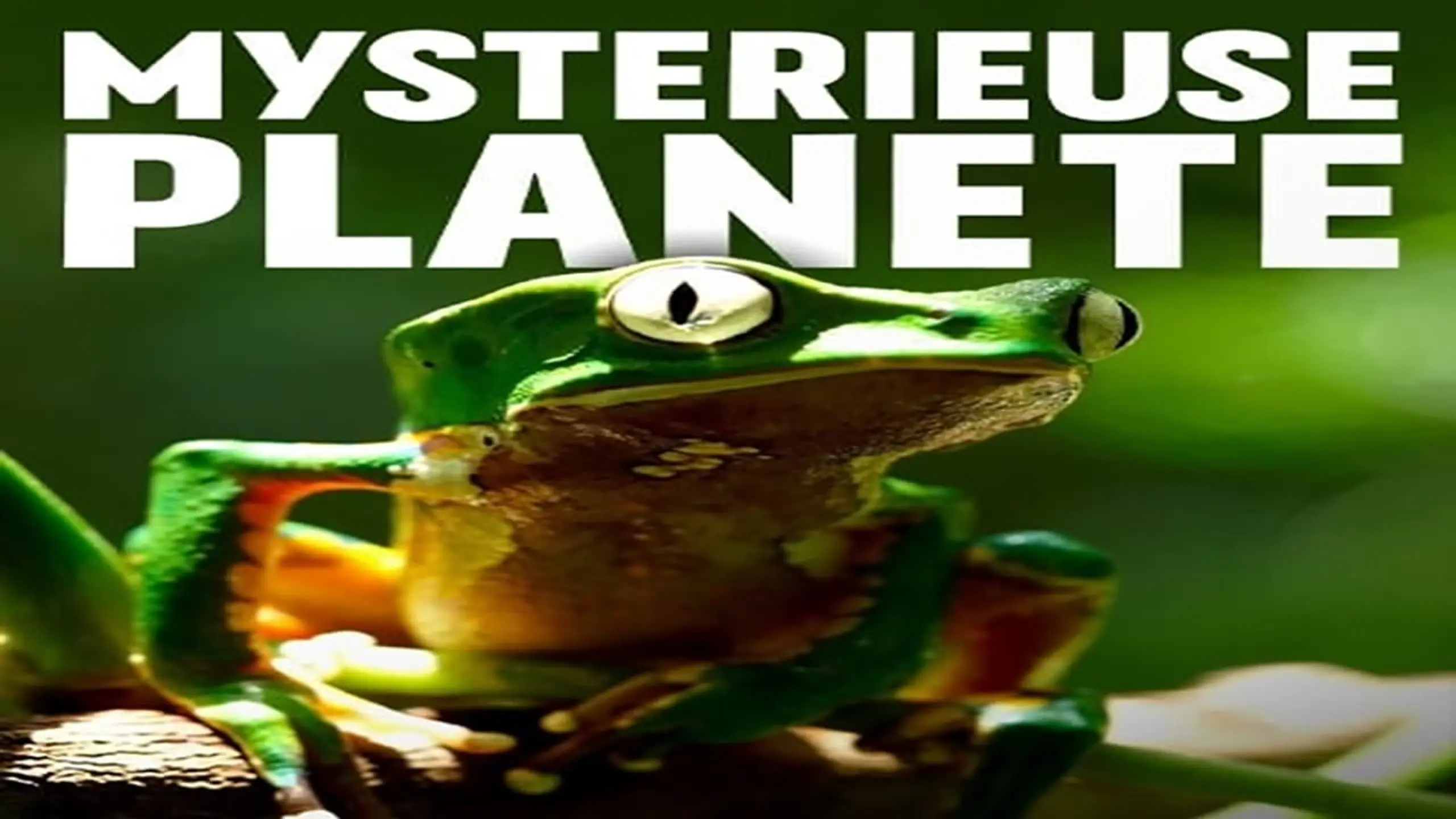 Unsere Erde der mysteriöse Planet