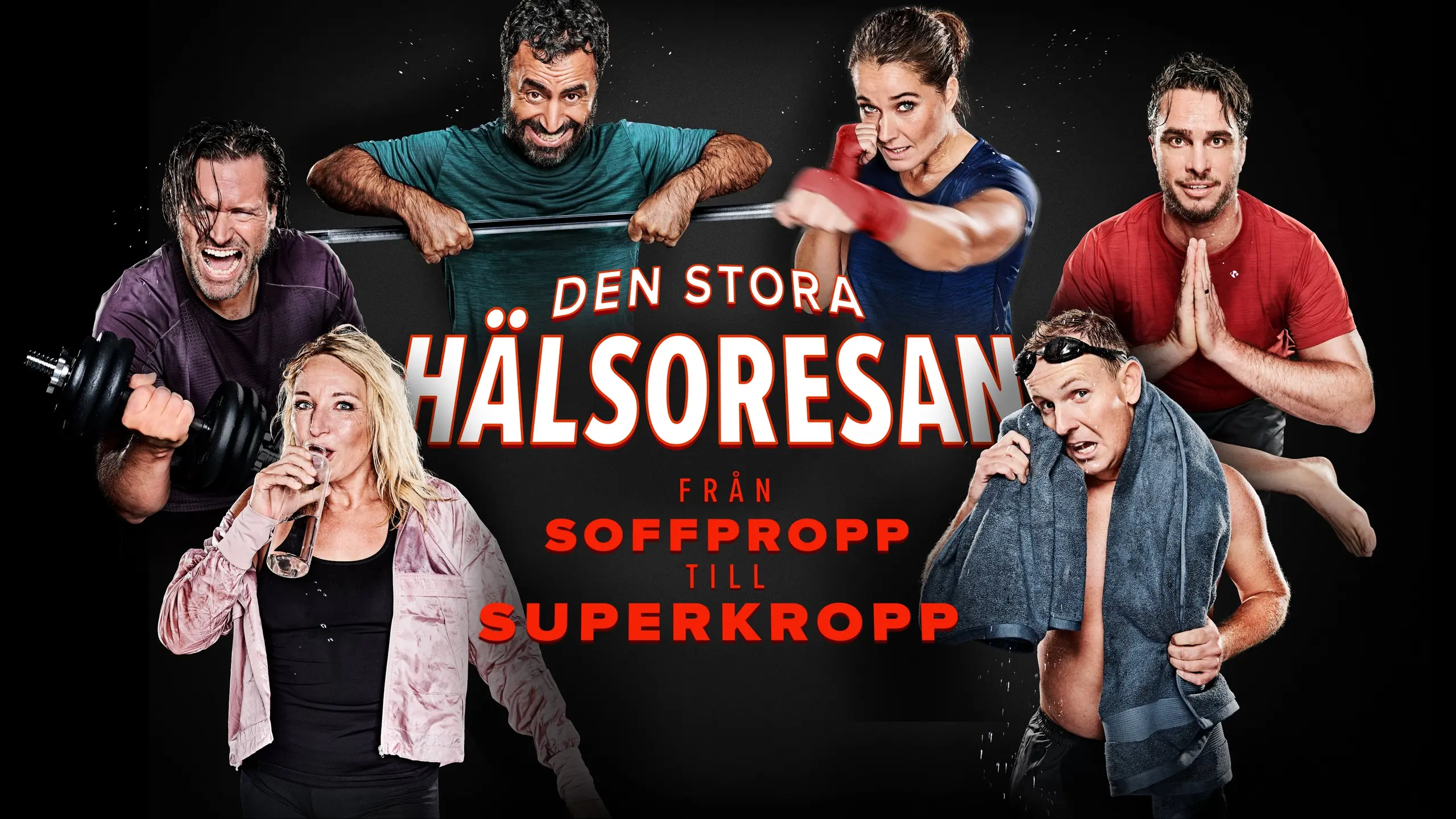 Den stora hälsoresan