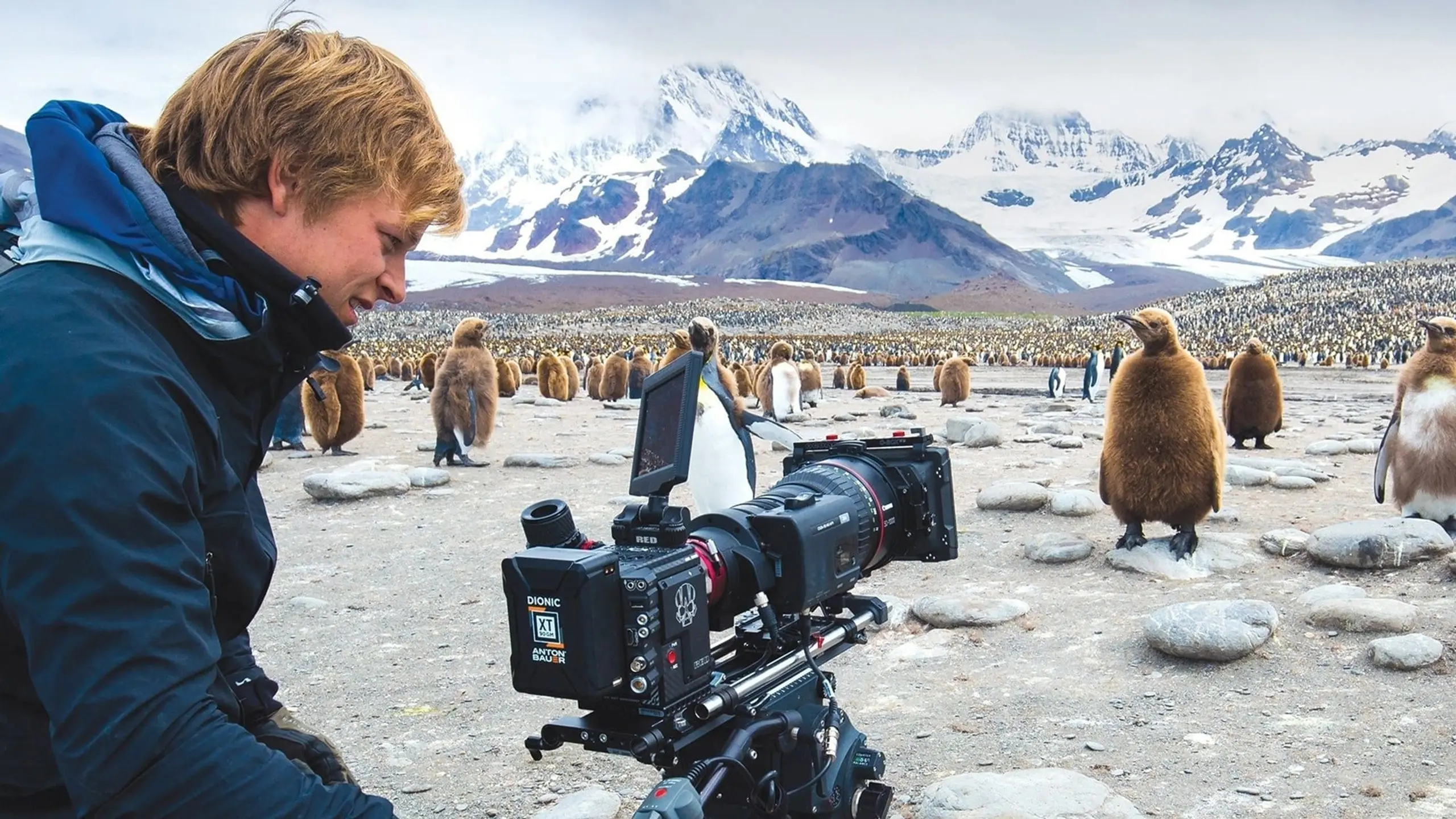 Wild Life With Bertie Gregory