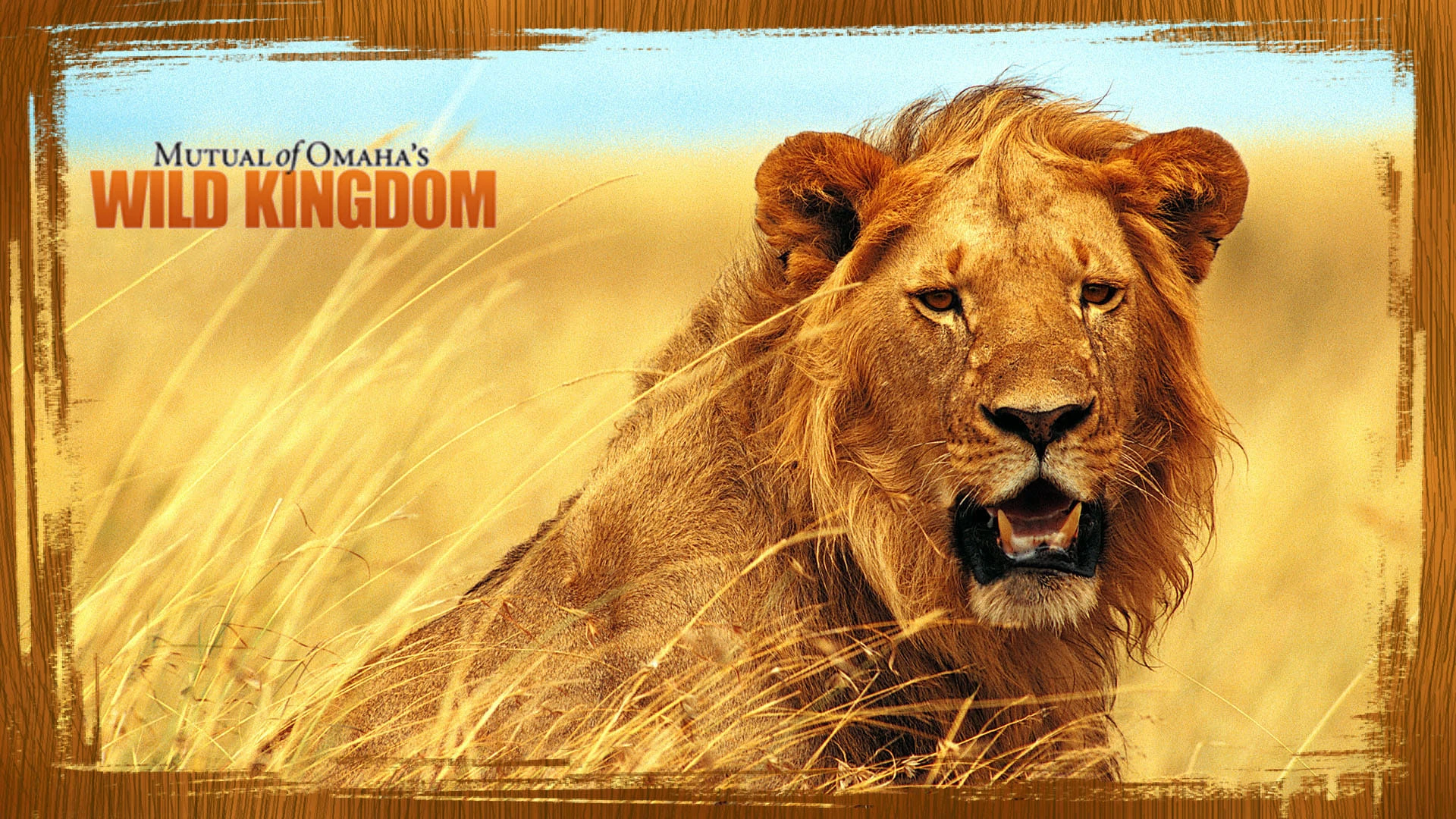 Mutual of Omaha's Wild Kingdom