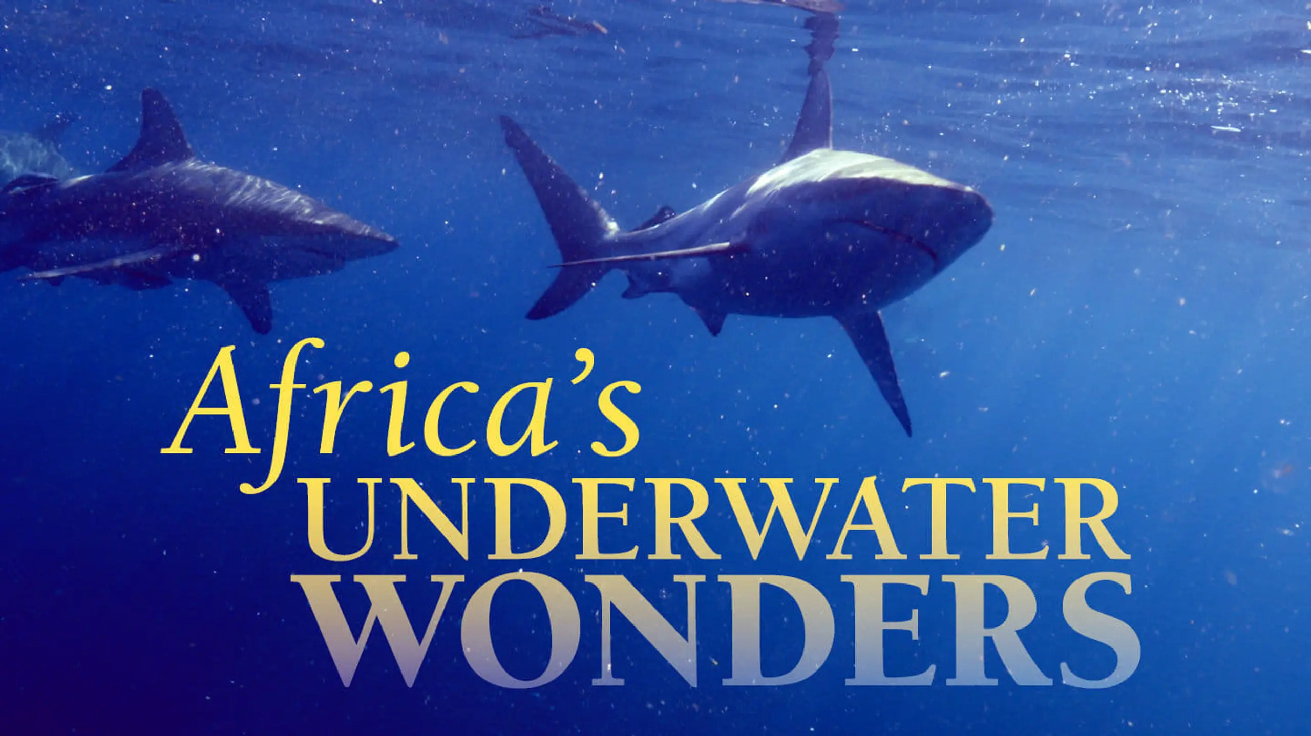 Africa's Underwater Wonders