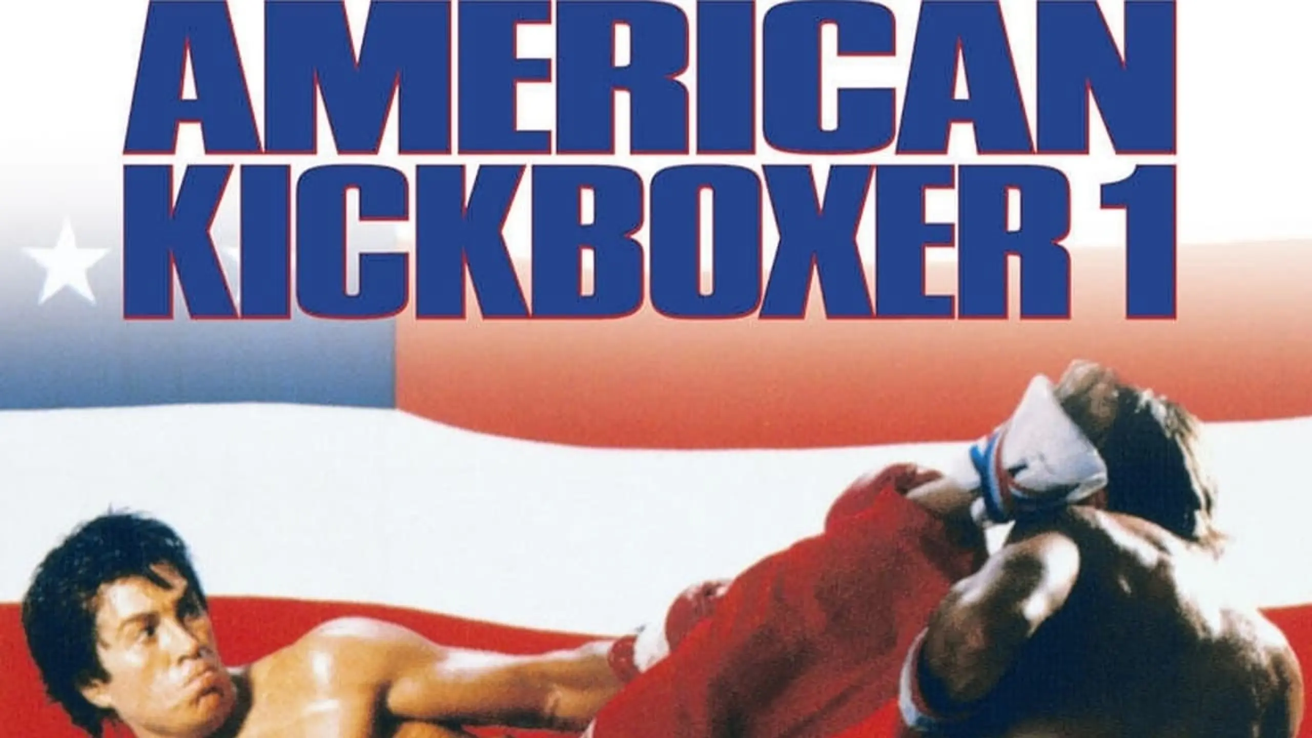 American Kickboxer - Blood Fighter