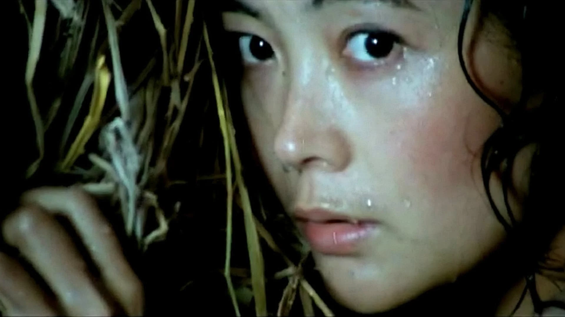 湘女萧萧