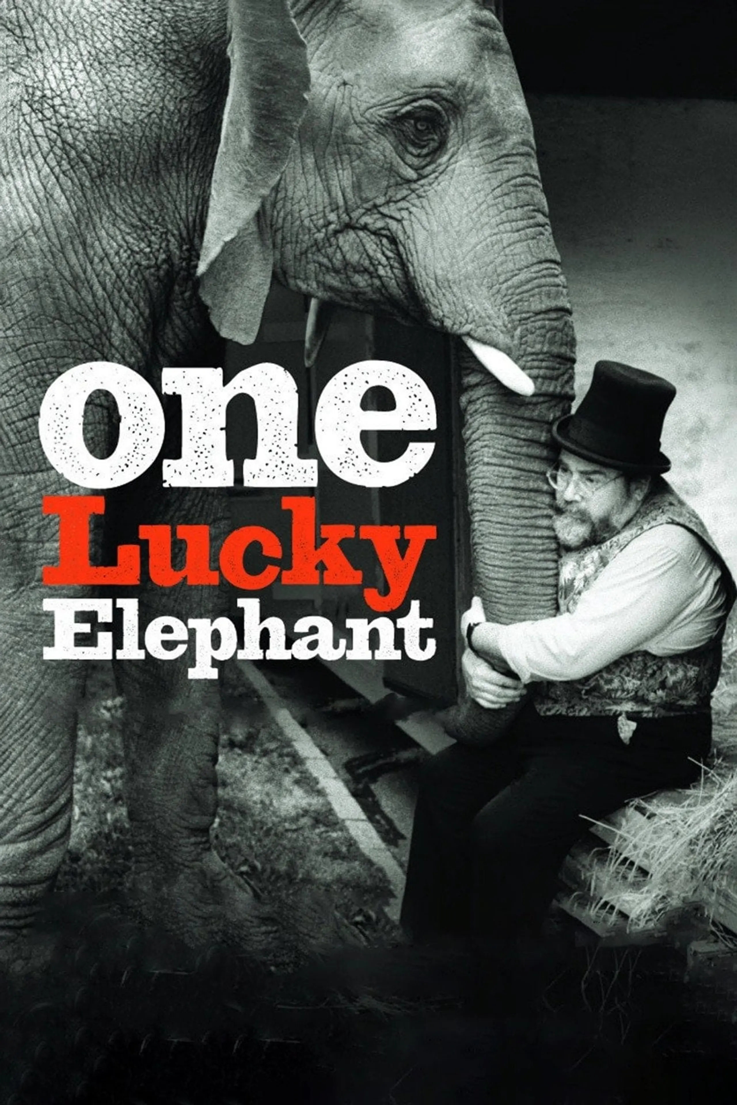 One Lucky Elephant