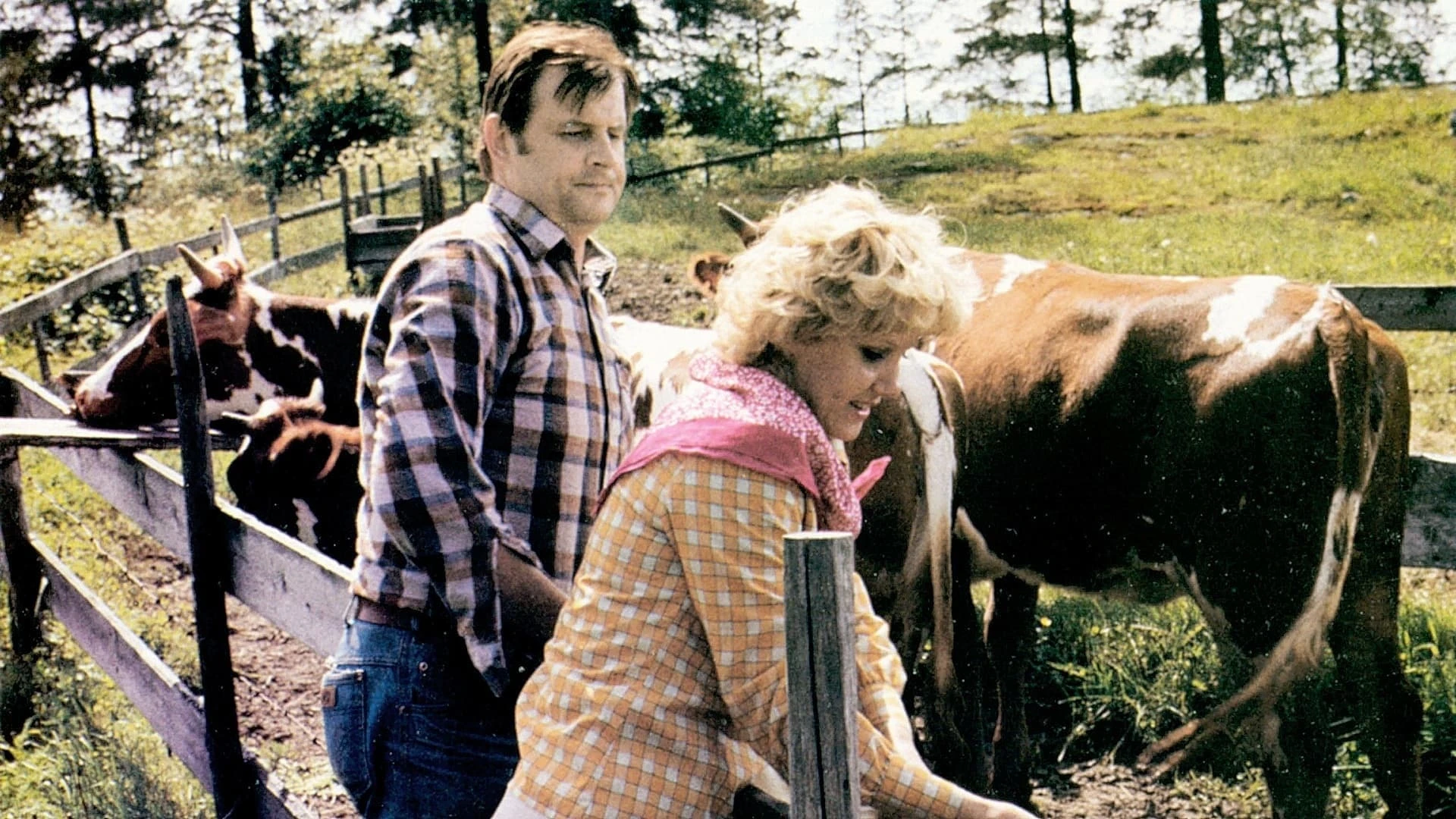 How to Find a Wife to a Farmer