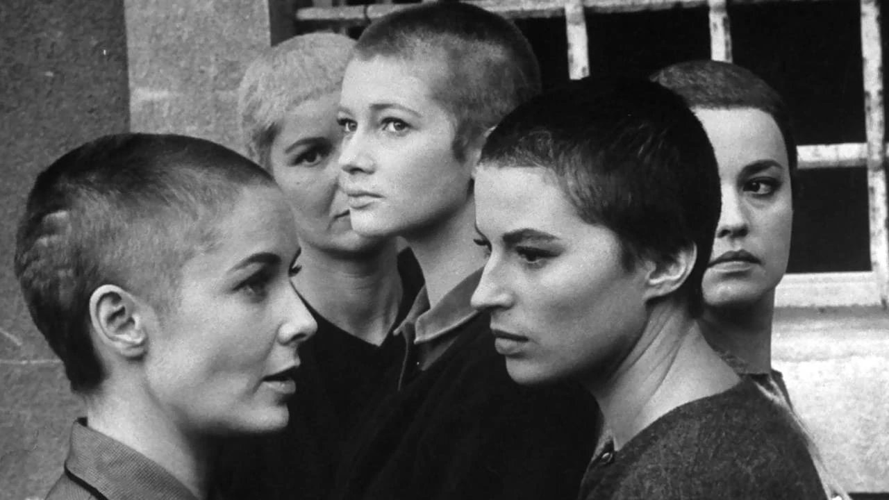 Jovanka und die Anderen