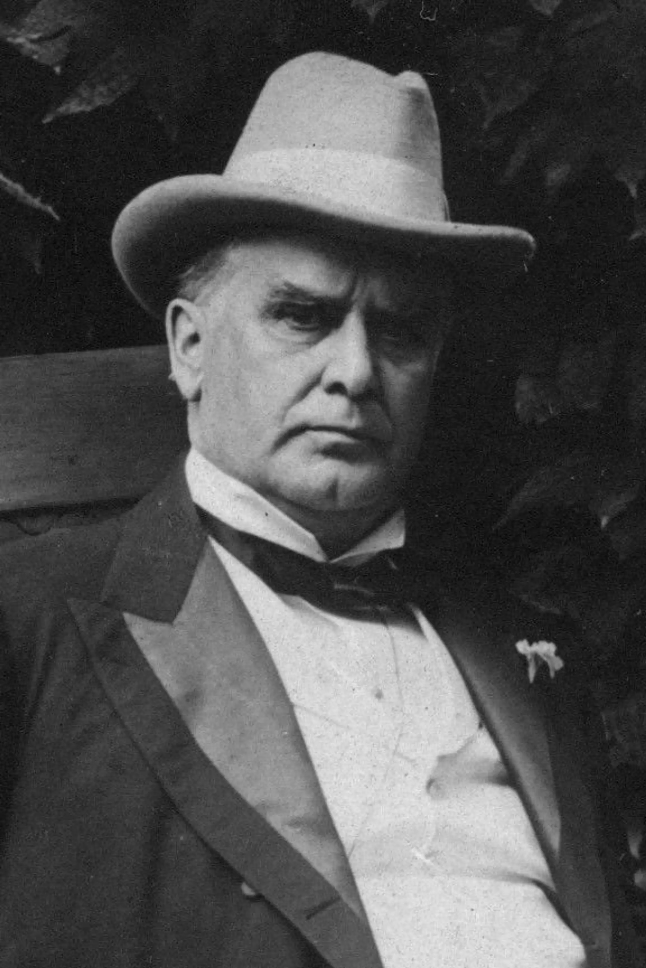 Foto von William McKinley