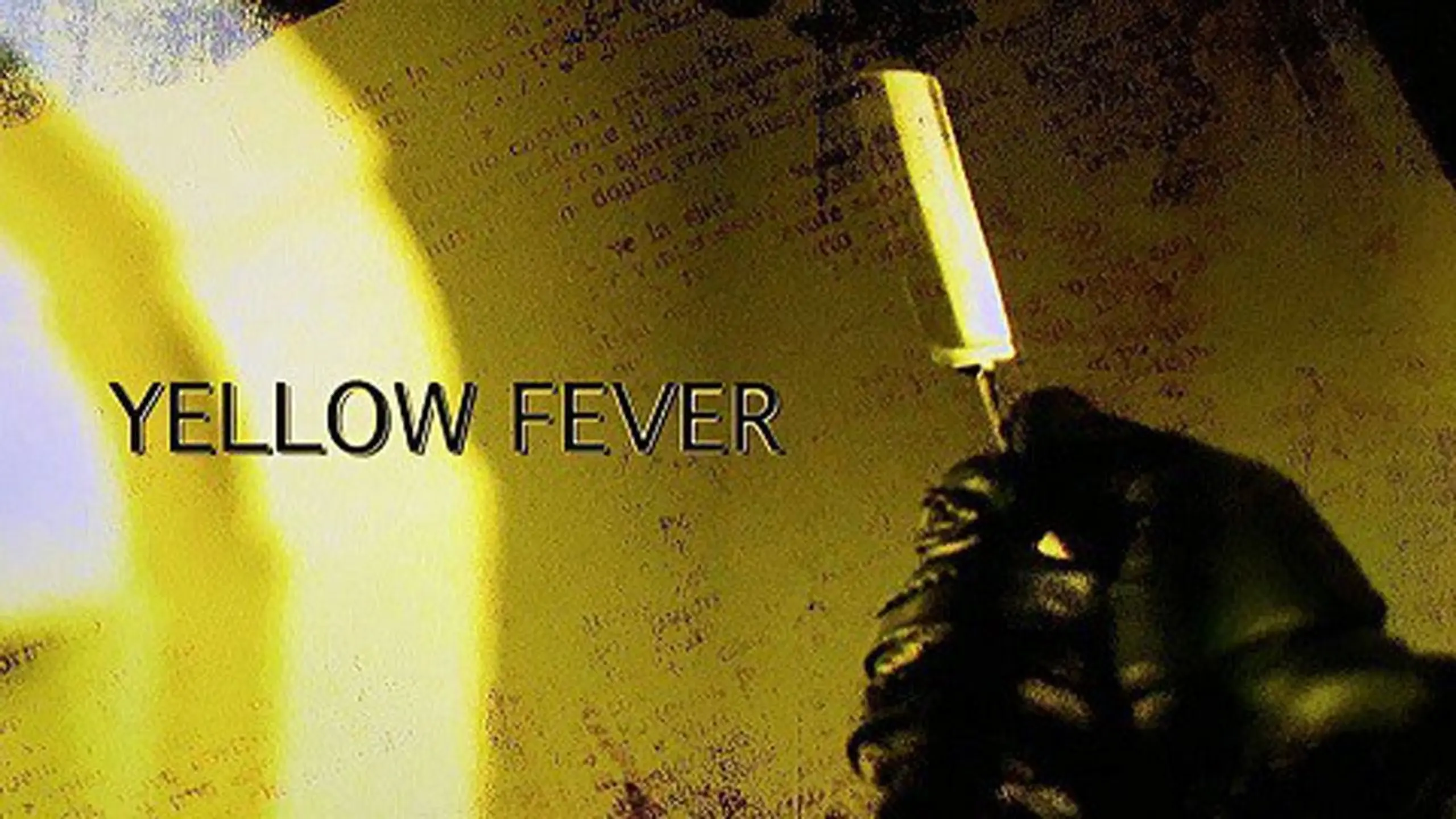 Yellow Fever: The Rise and Fall of the Giallo