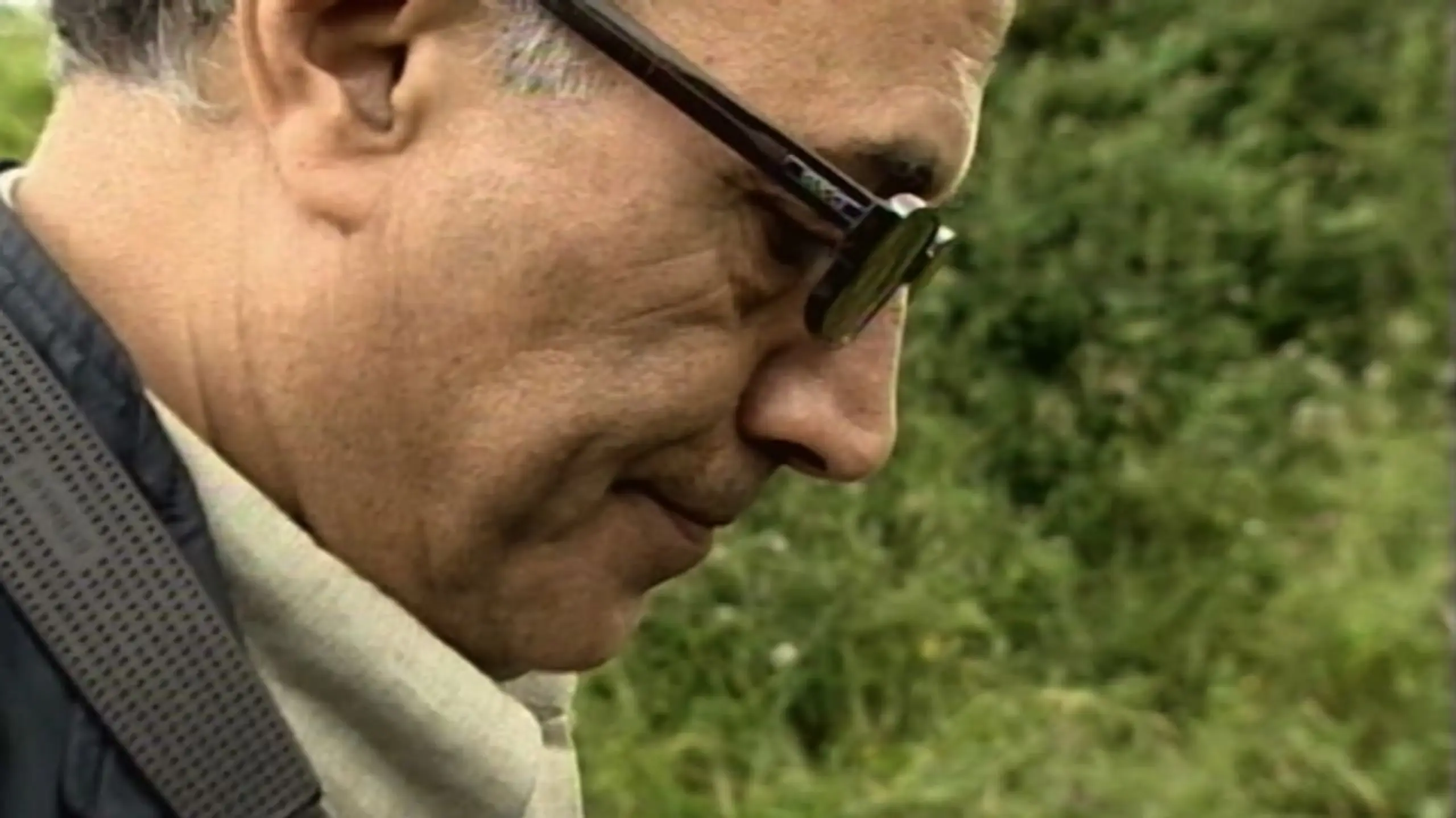 A Walk with Kiarostami