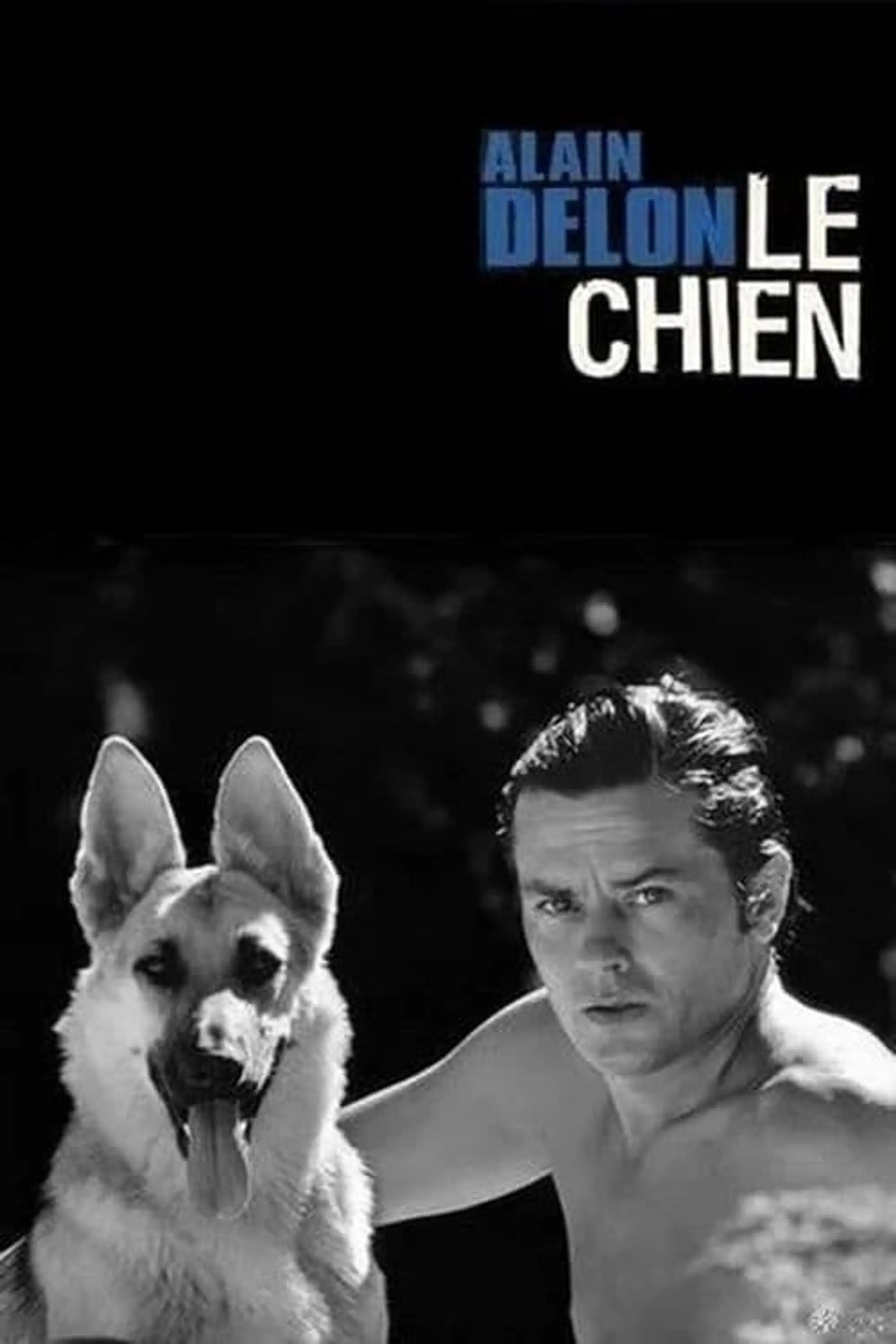 Le chien