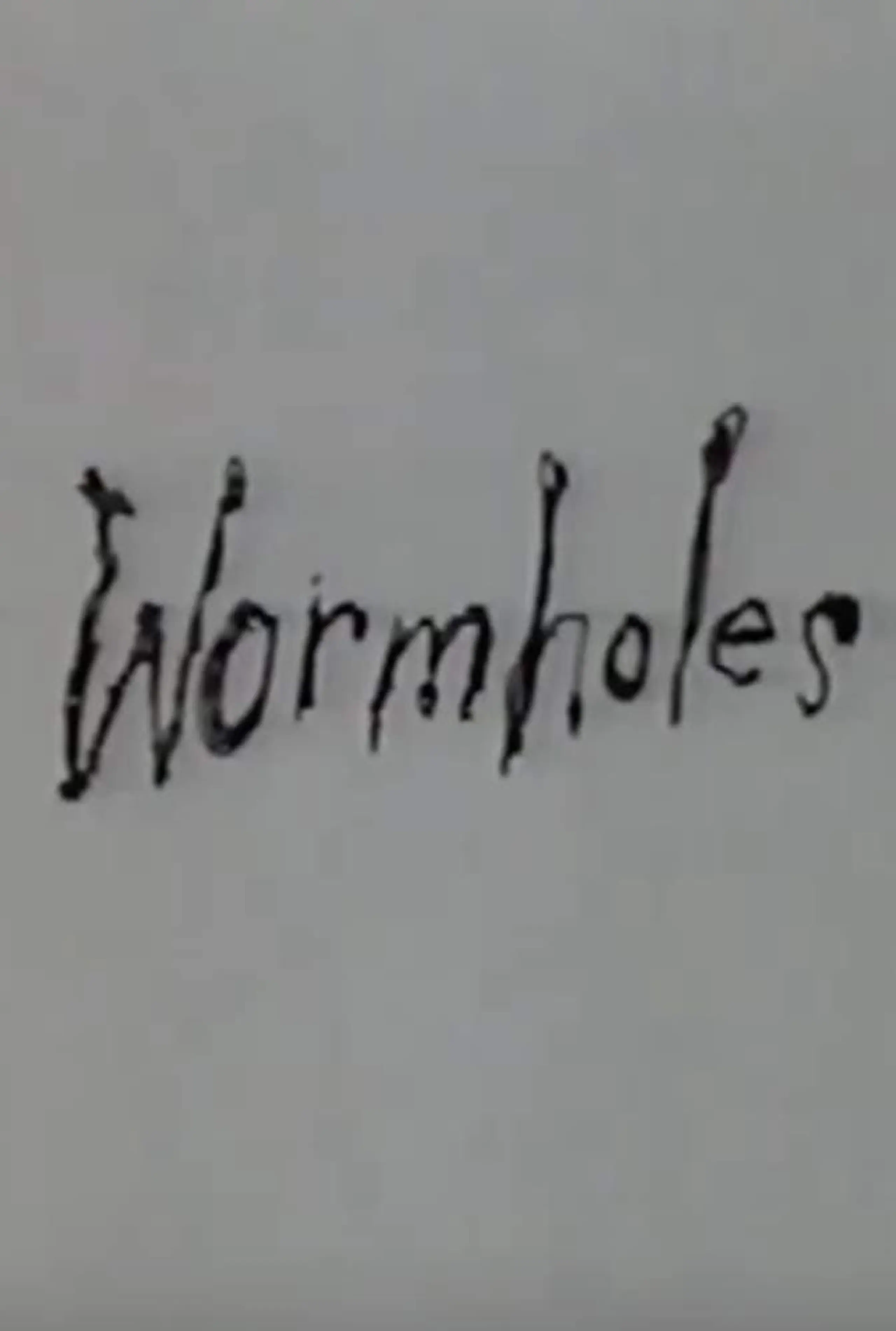 Wormholes