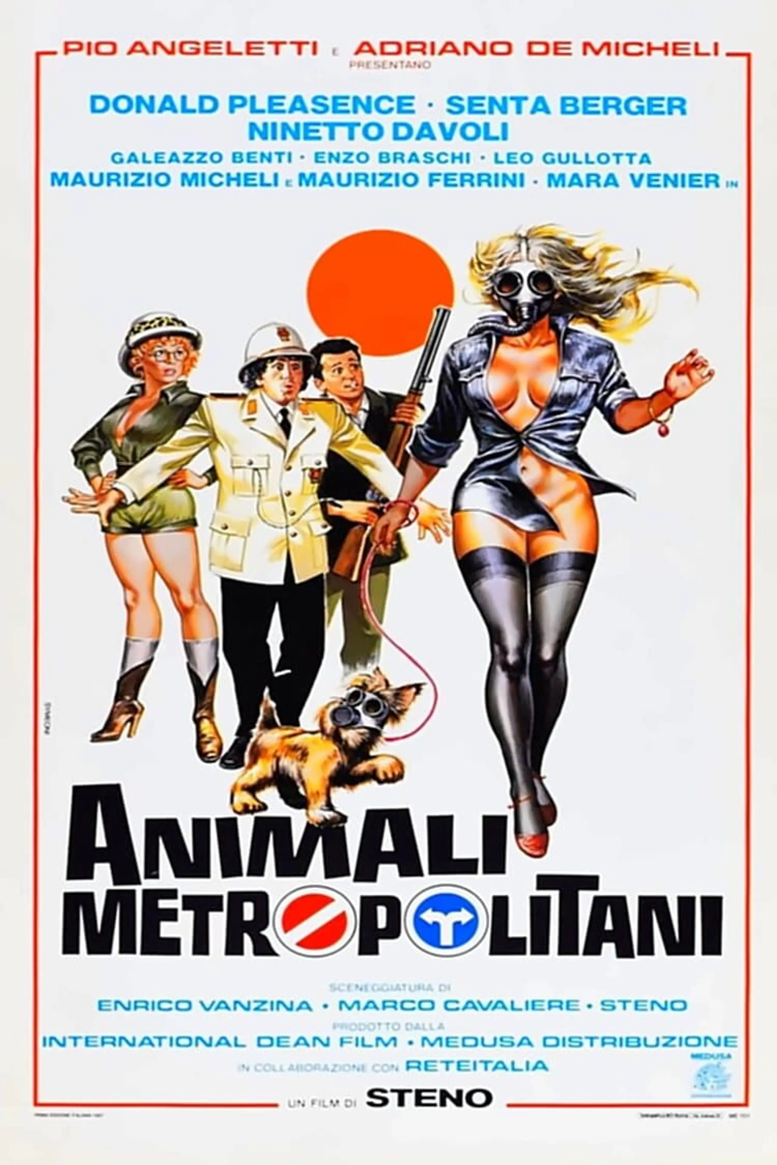 Animali metropolitani