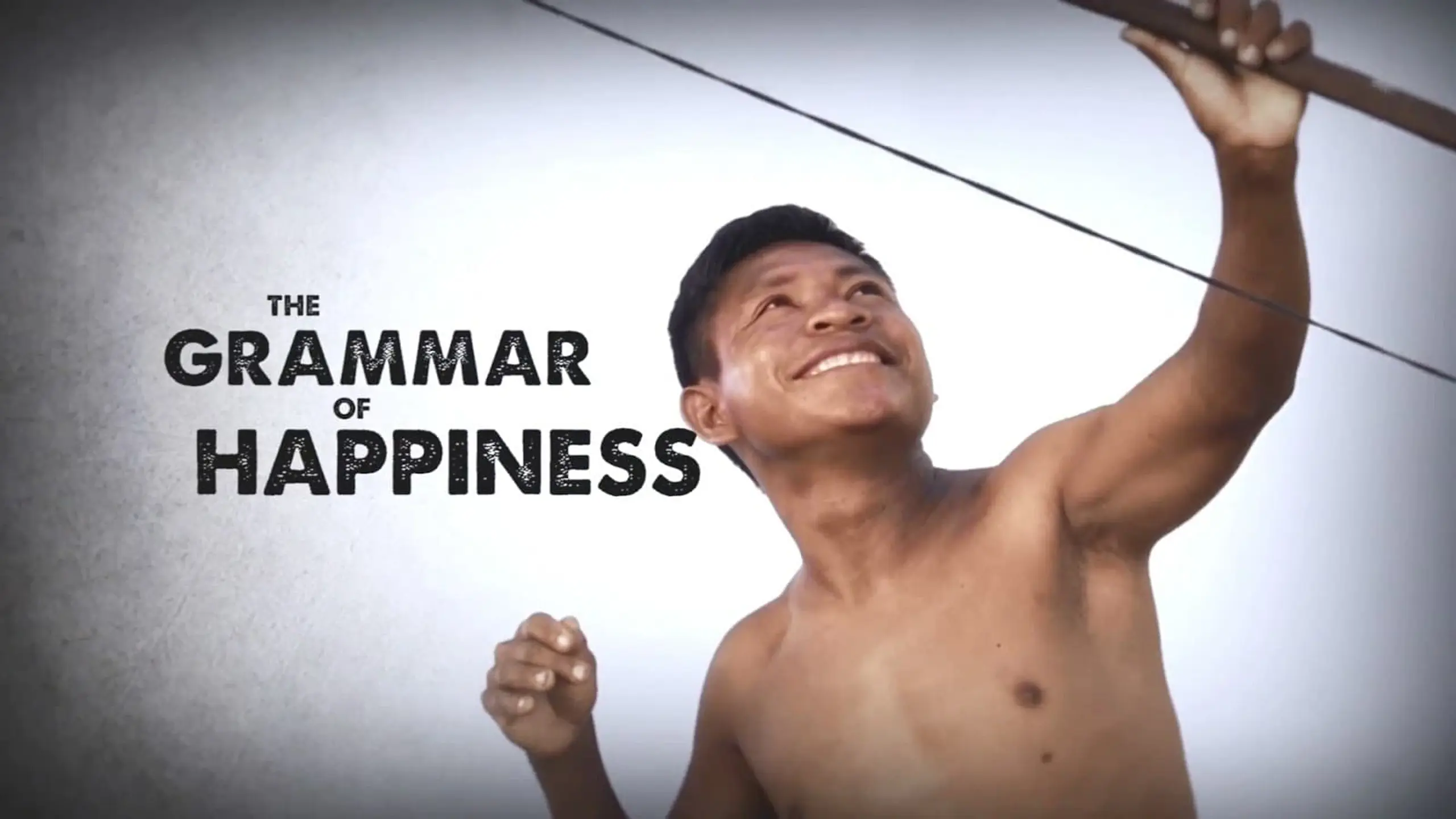 The Grammar of Happiness