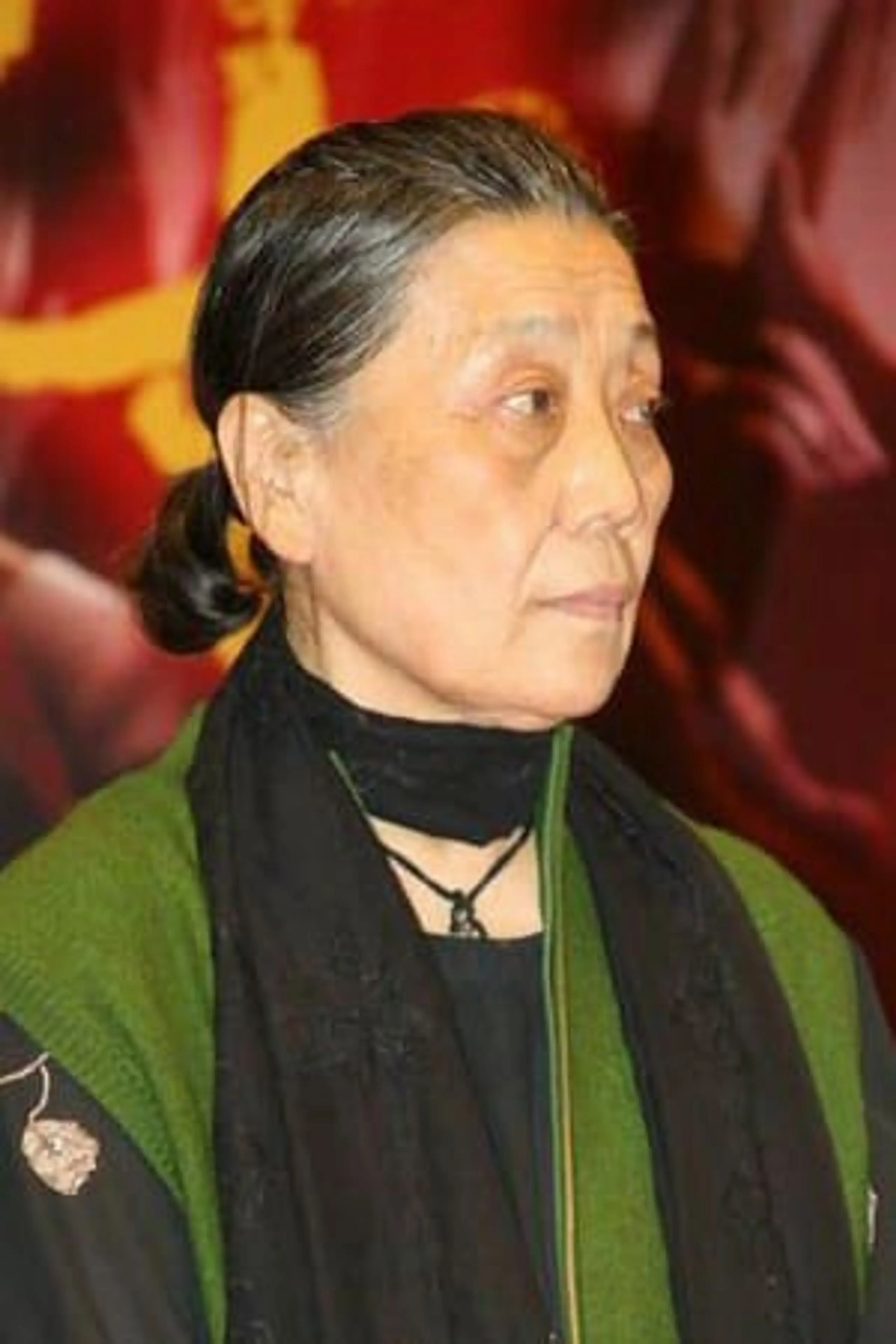 Foto von Shuyuan Jin