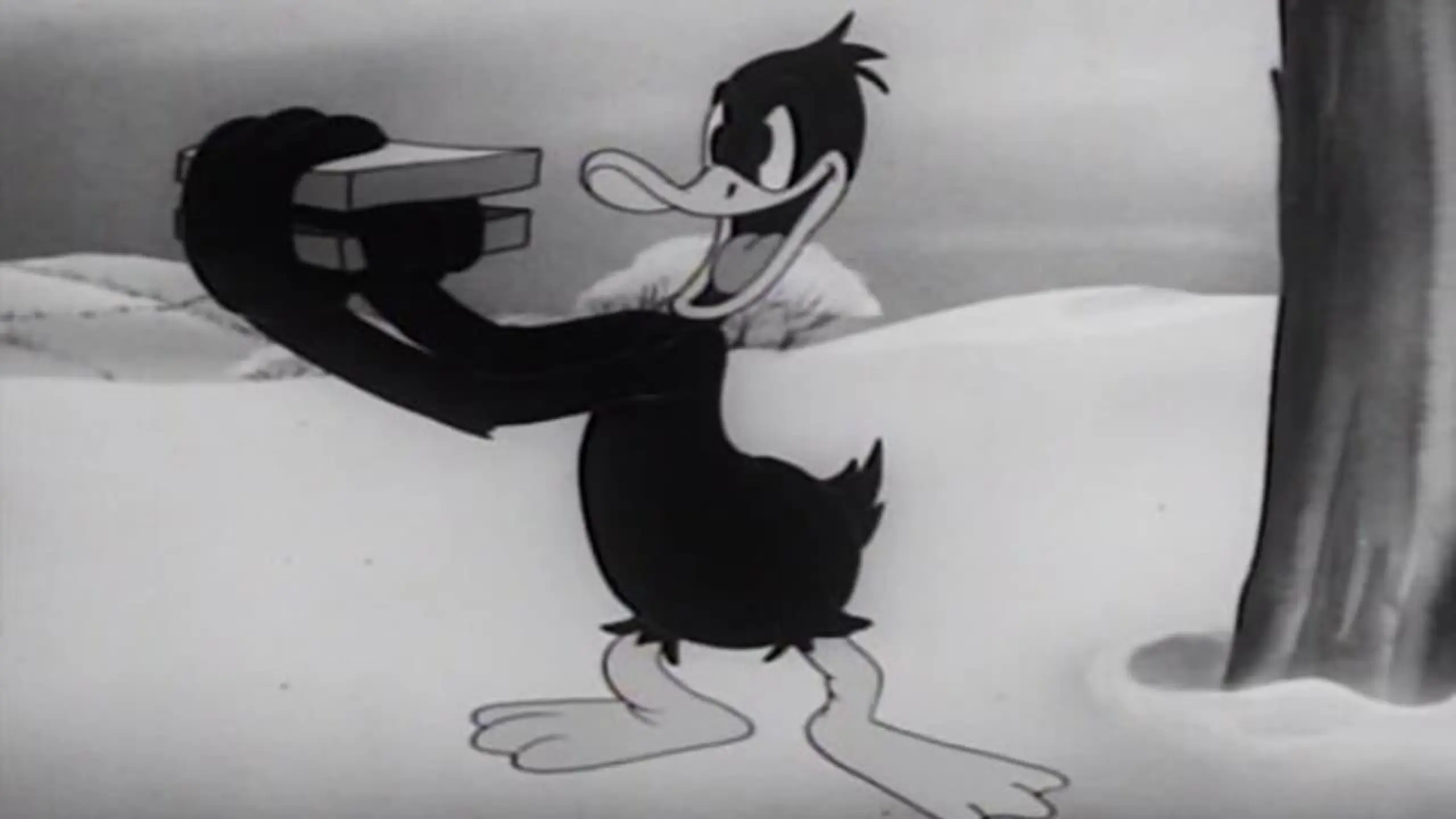 Daffy's Southern Exposure