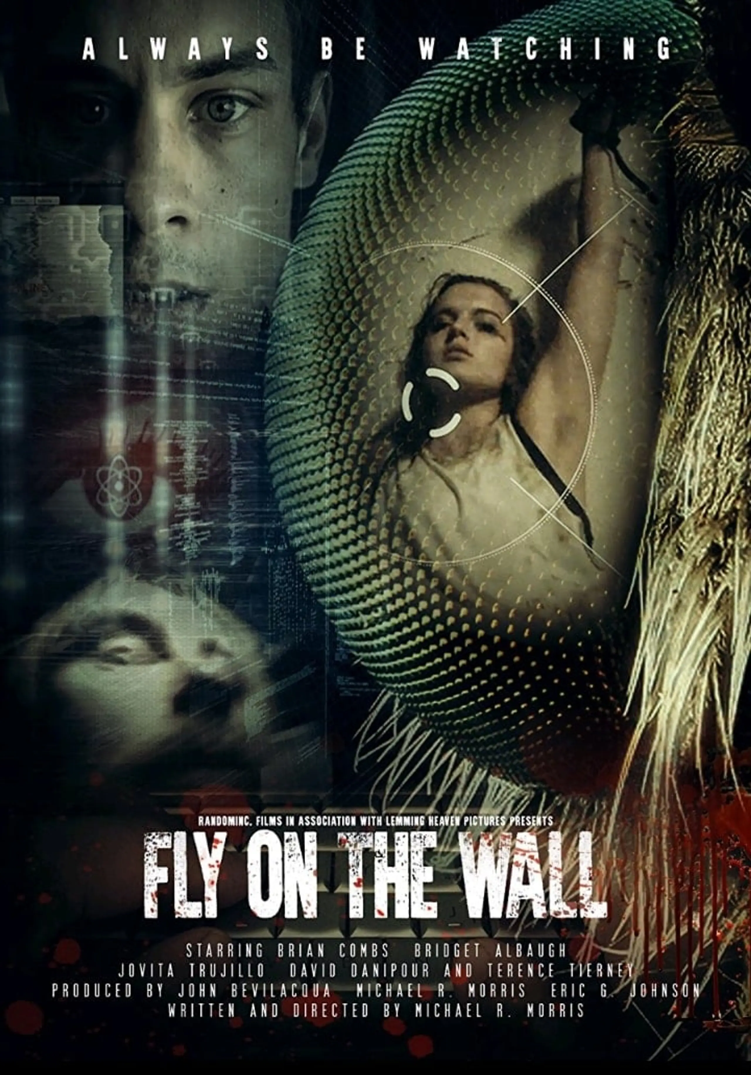 Fly on the Wall