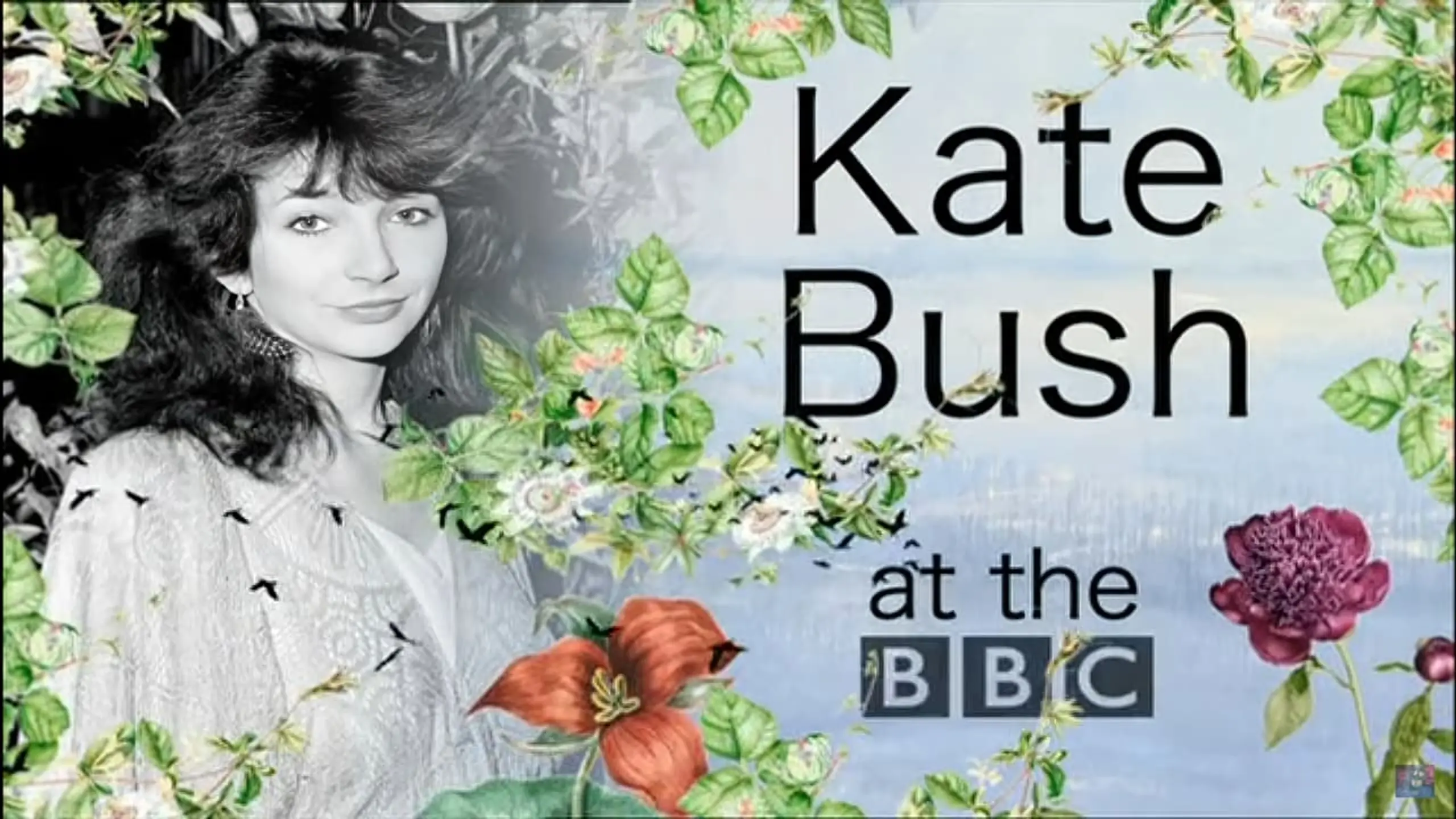 Kate Bush at the BBC