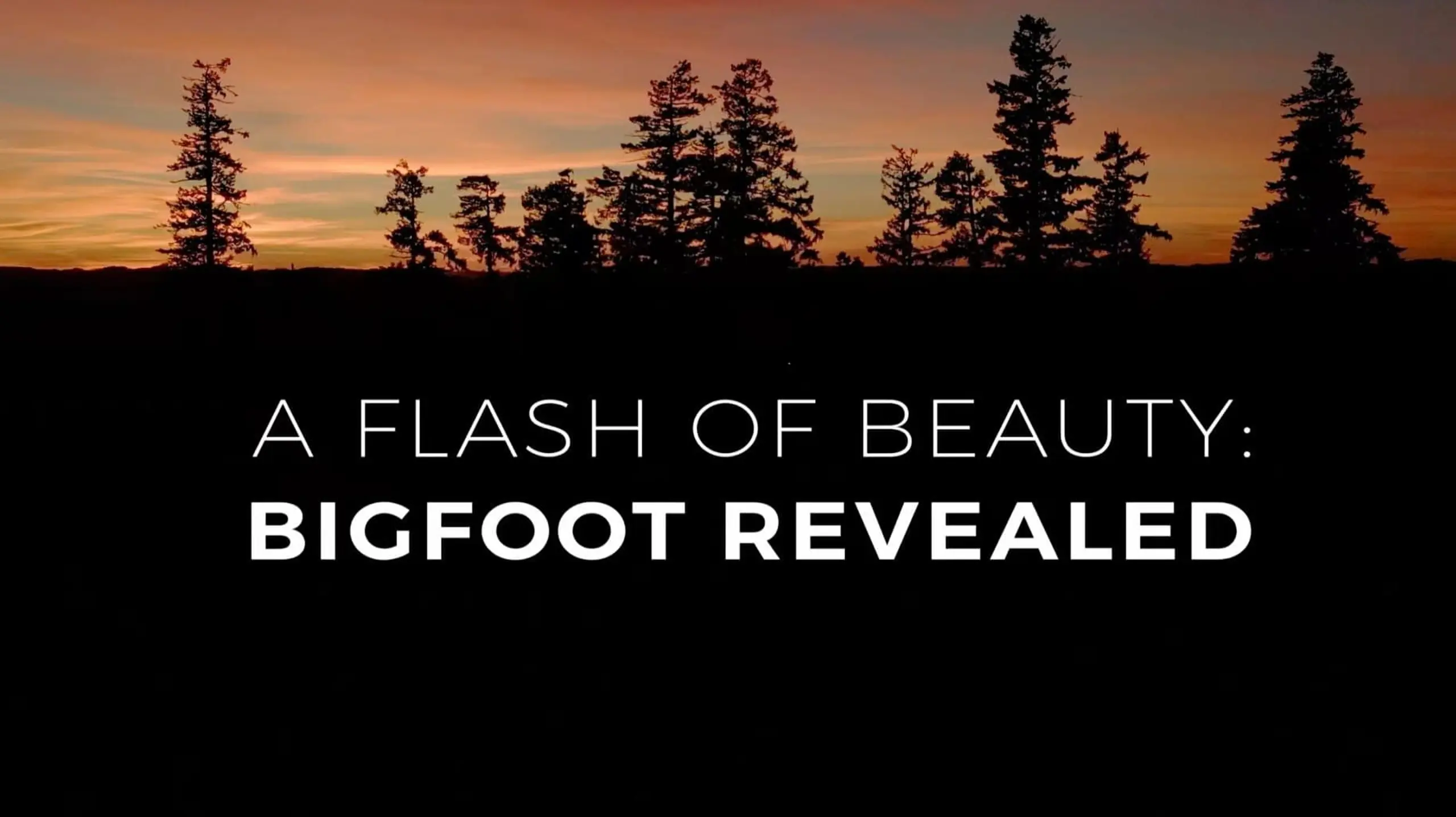 A Flash of Beauty: Bigfoot Revealed