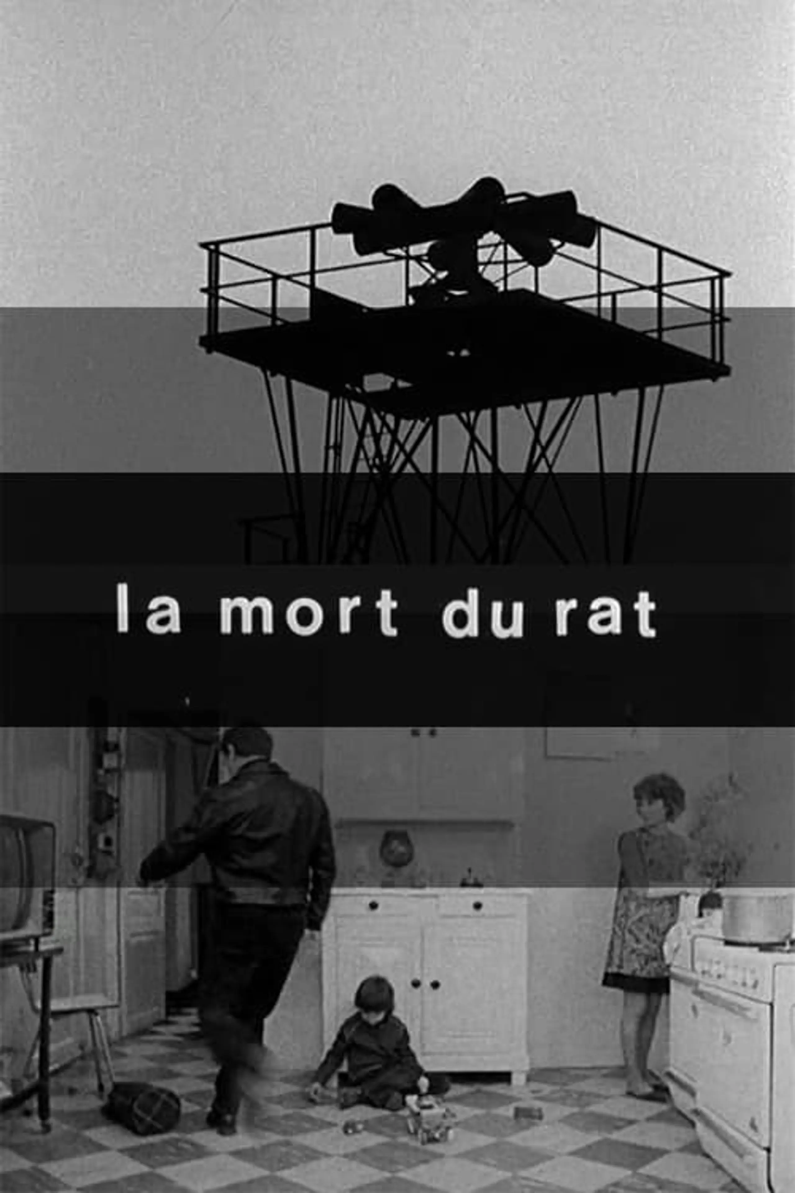 La mort du rat