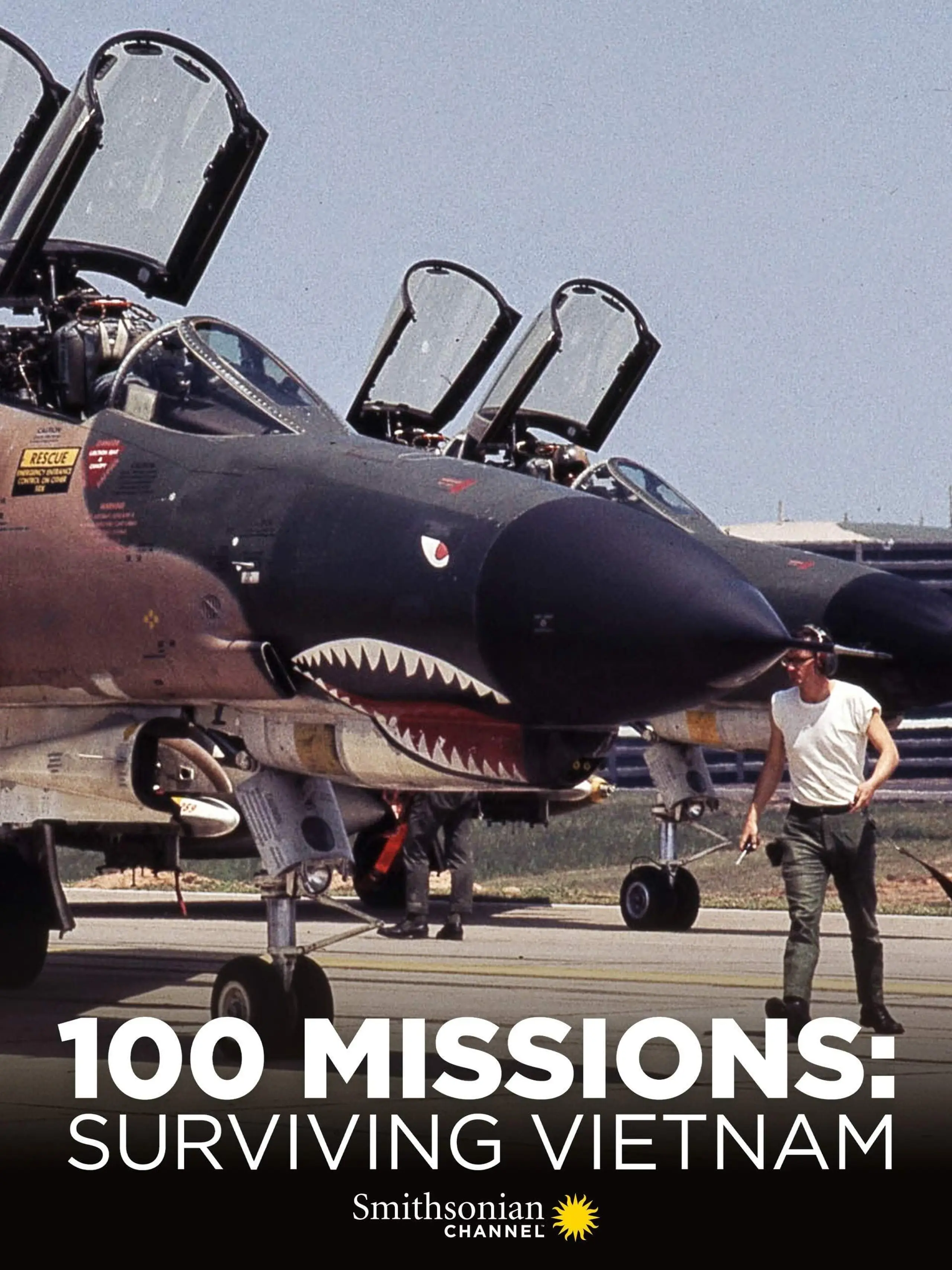 100 Missions Surviving Vietnam