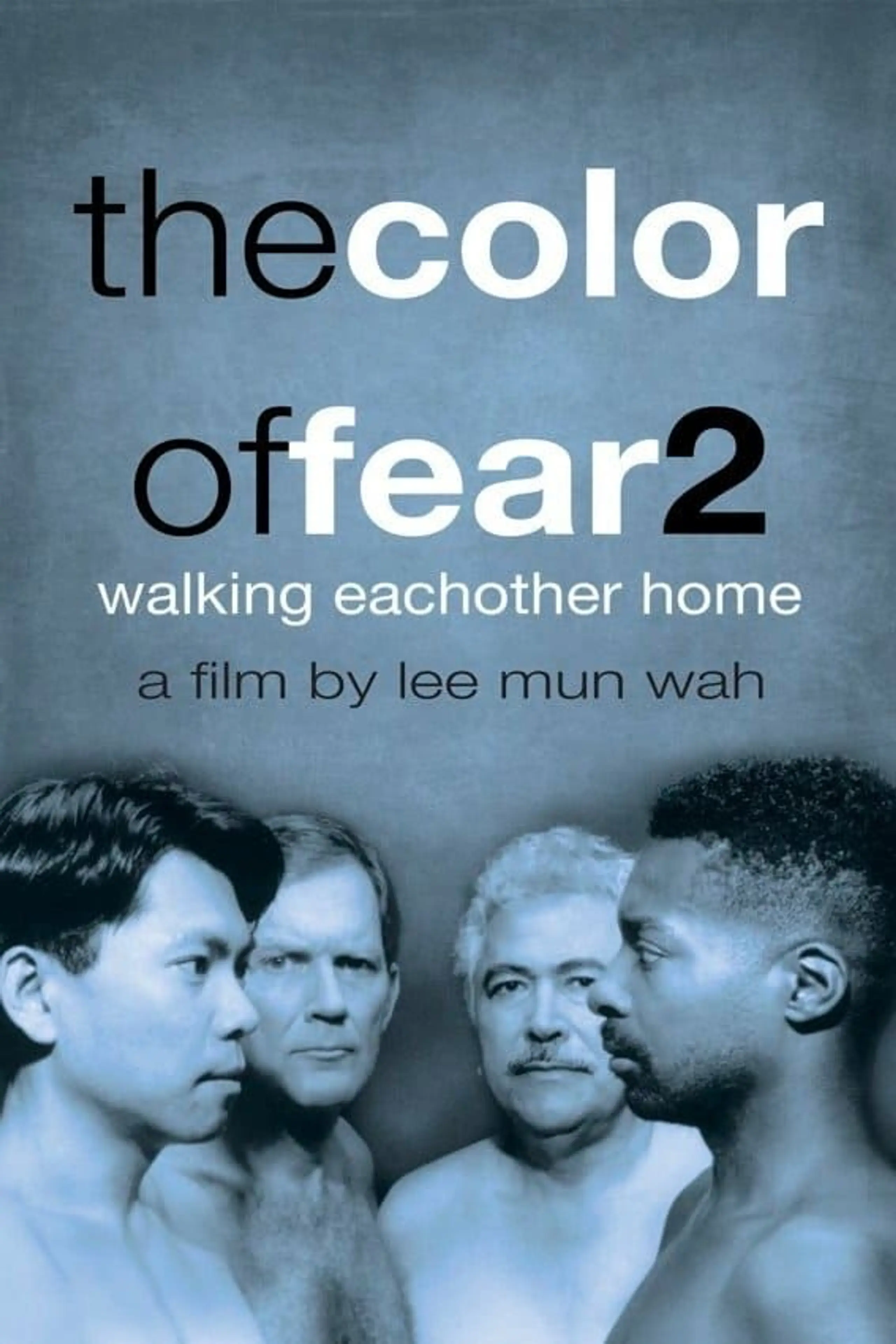 The Color of Fear 2: Walking Each Other Home