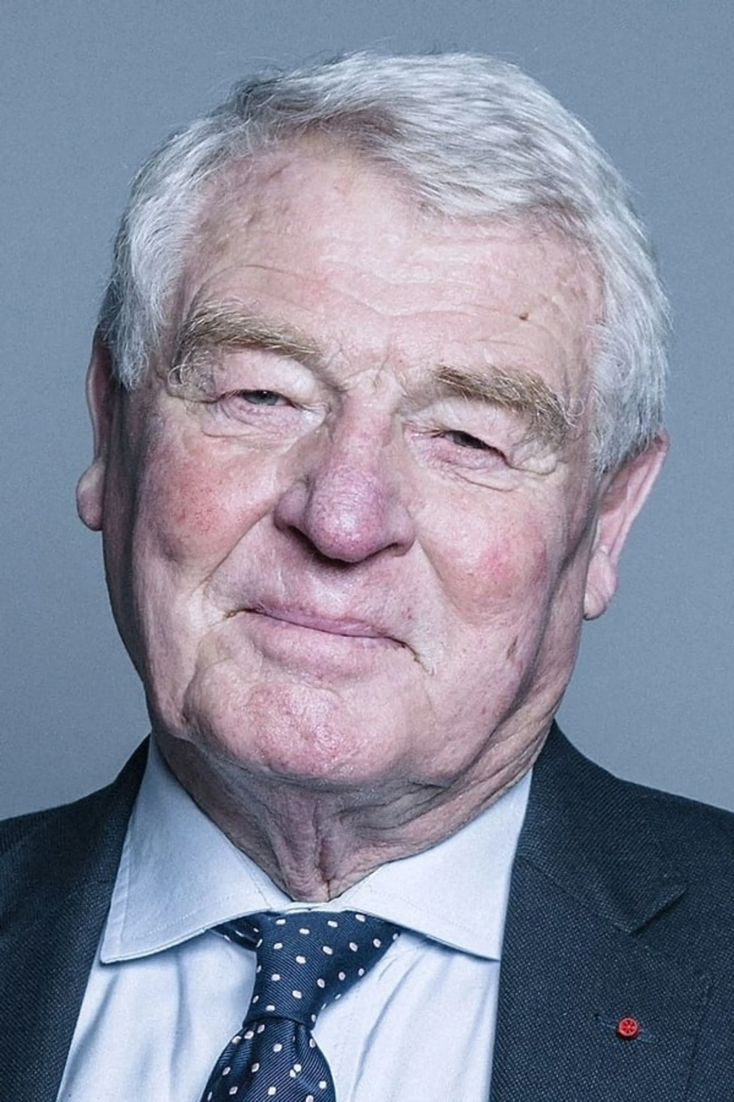 Foto von Paddy Ashdown