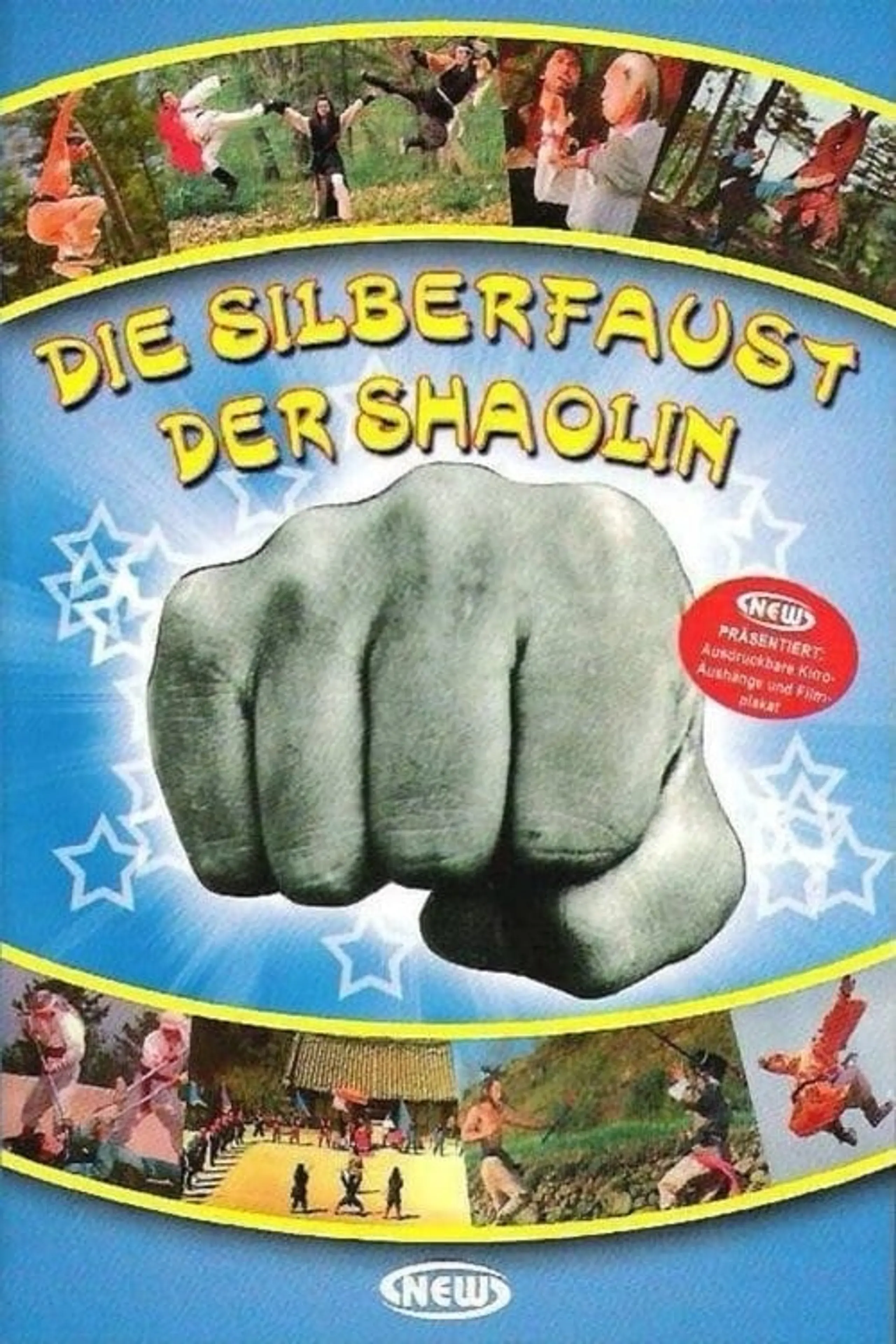 Die Silberfaust der Shaolin