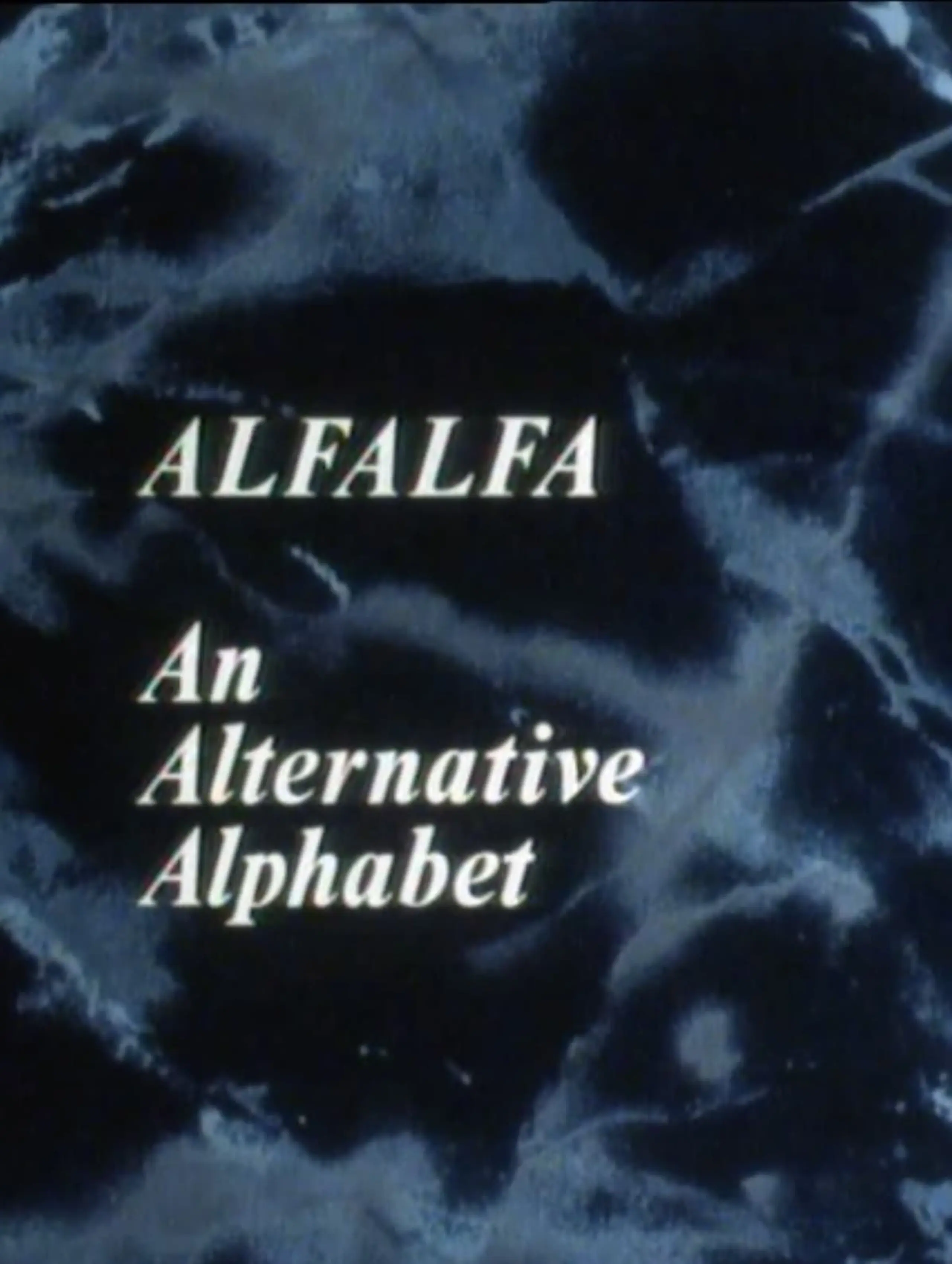 Alfalfa