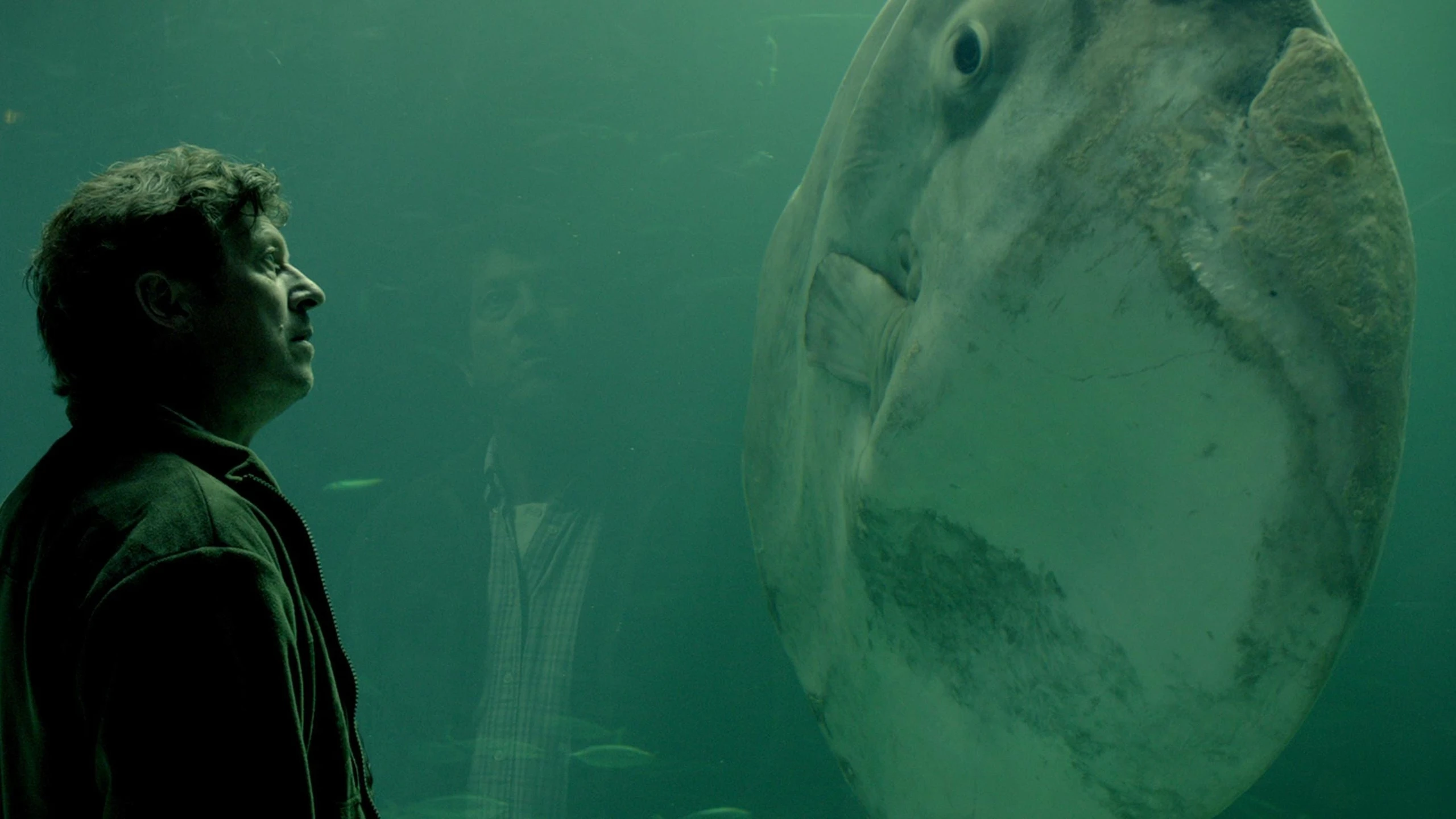 Der Mondfisch