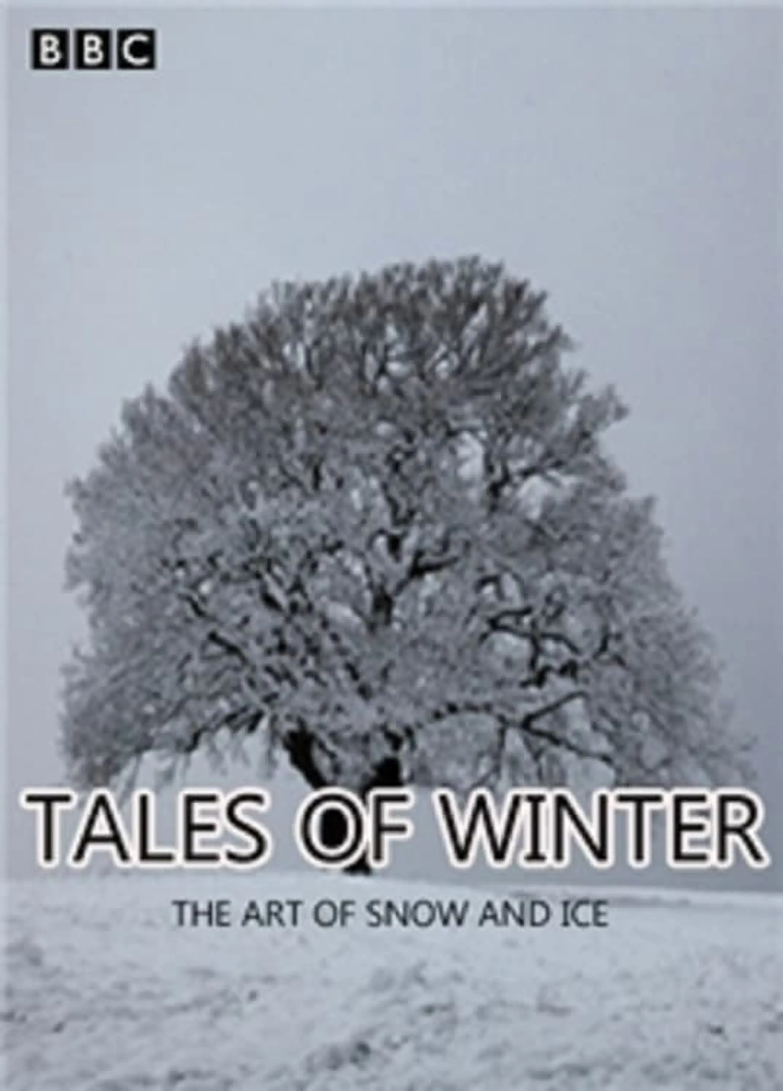 Tales of Winter: The Art of Snow and Ice