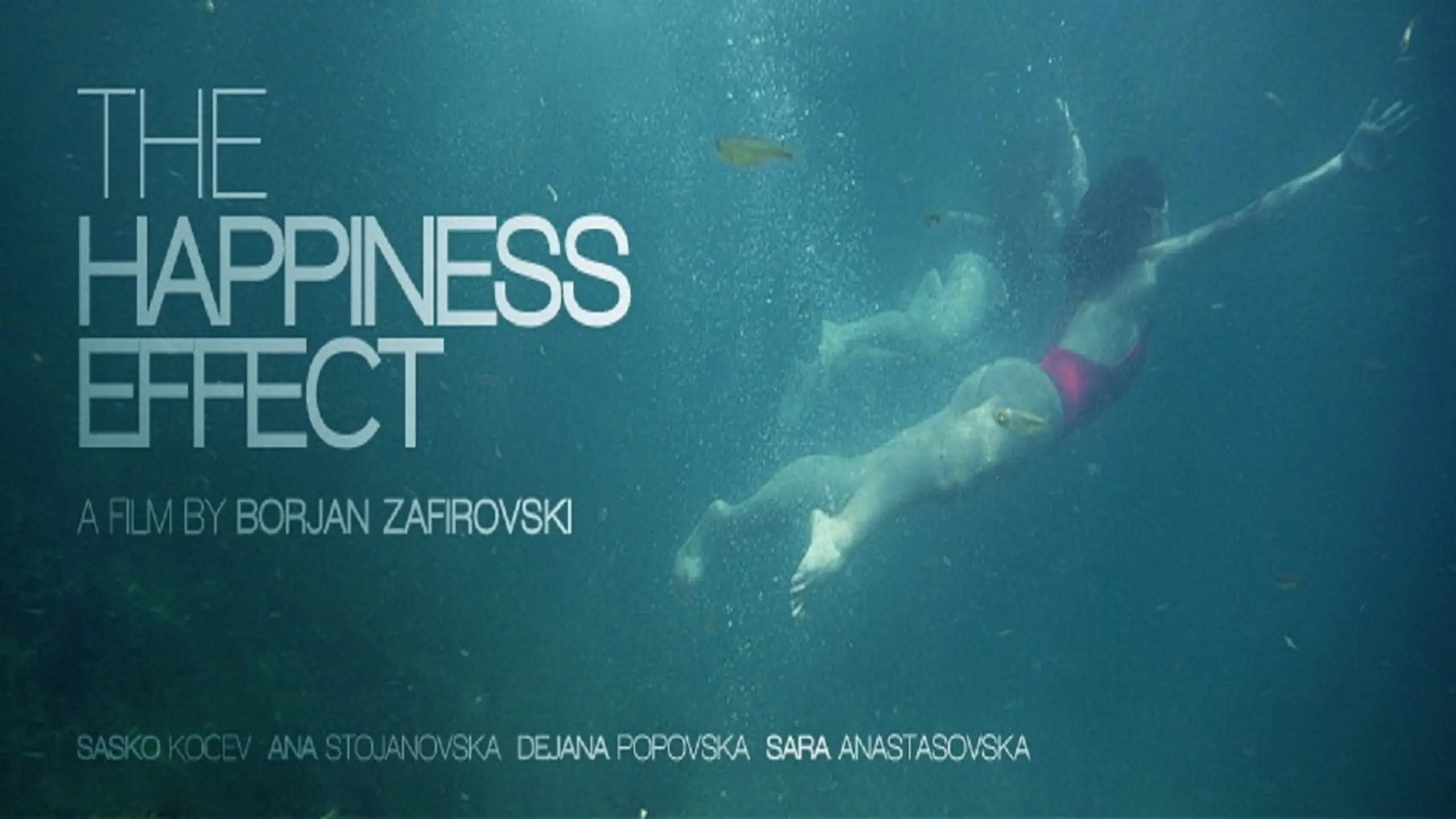 The Happiness Effect