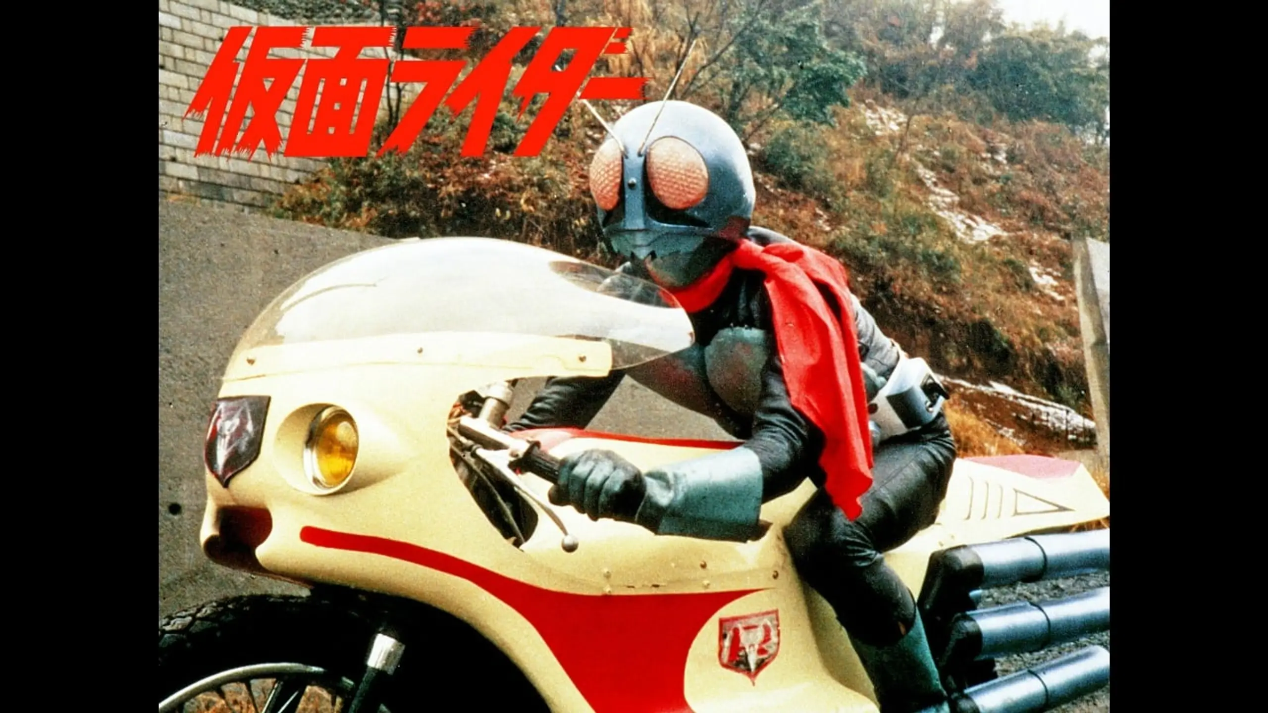 Go Go Kamen Rider