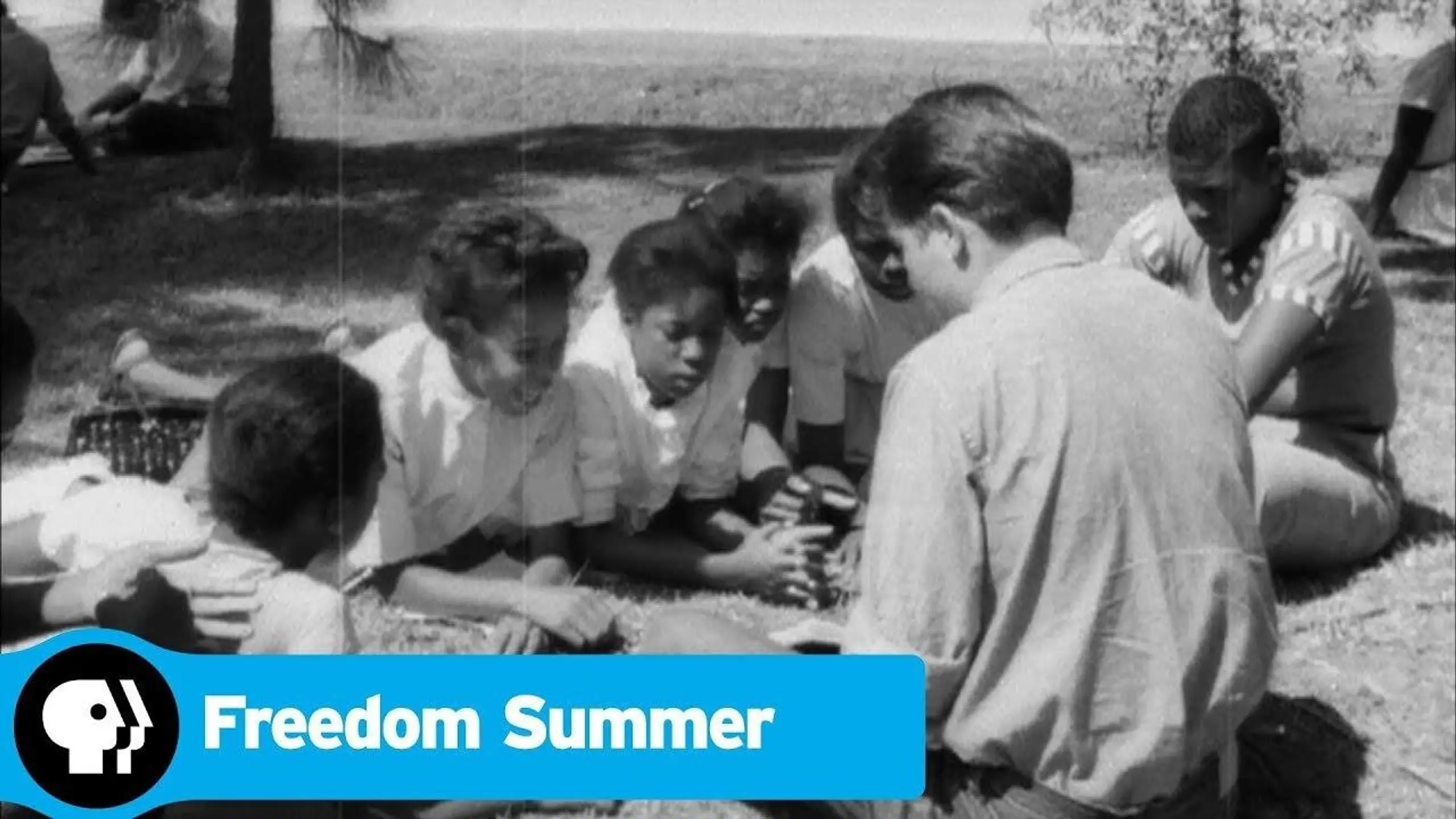 Freedom Summer