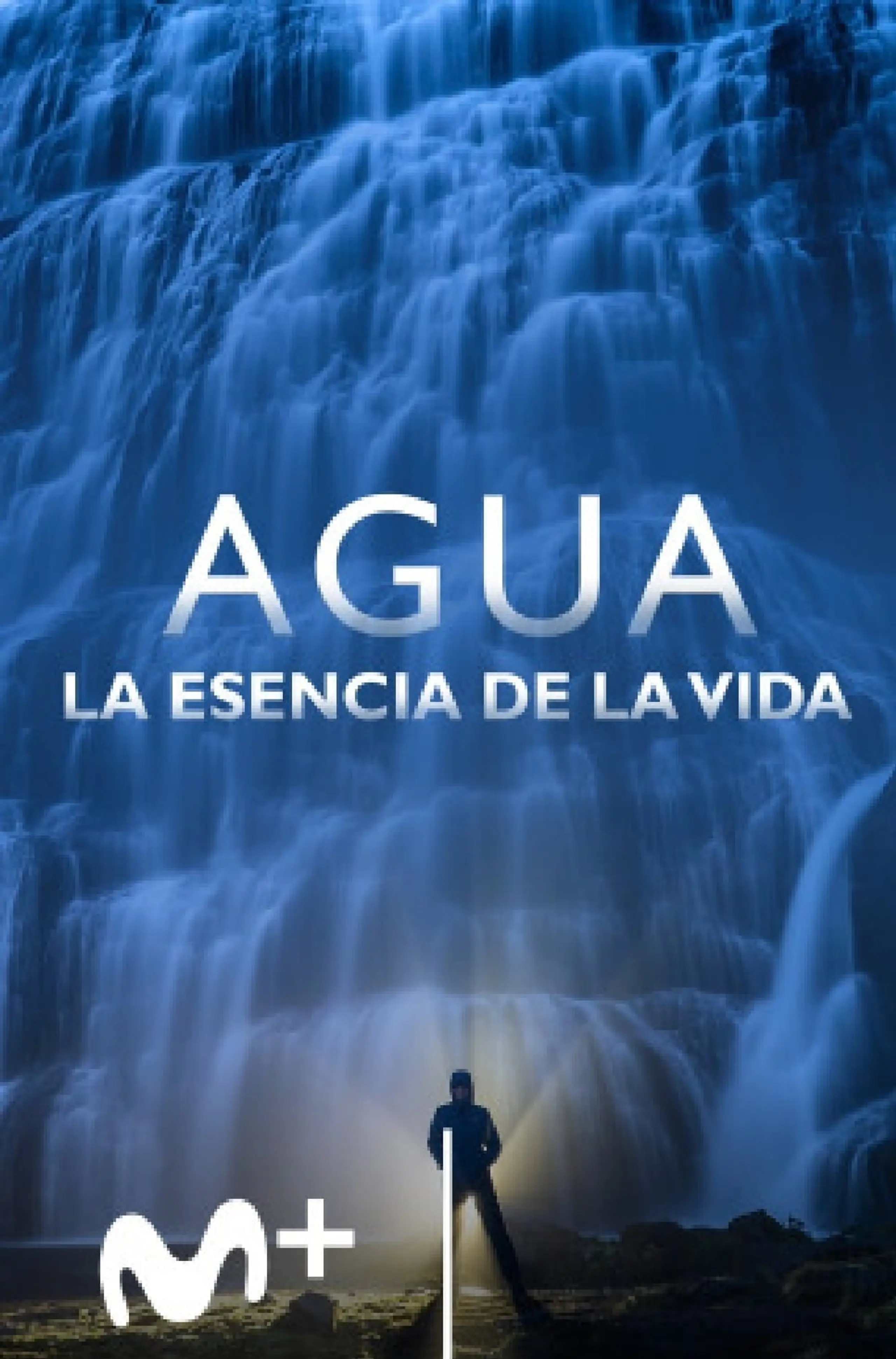 Agua, la esencia de la vida