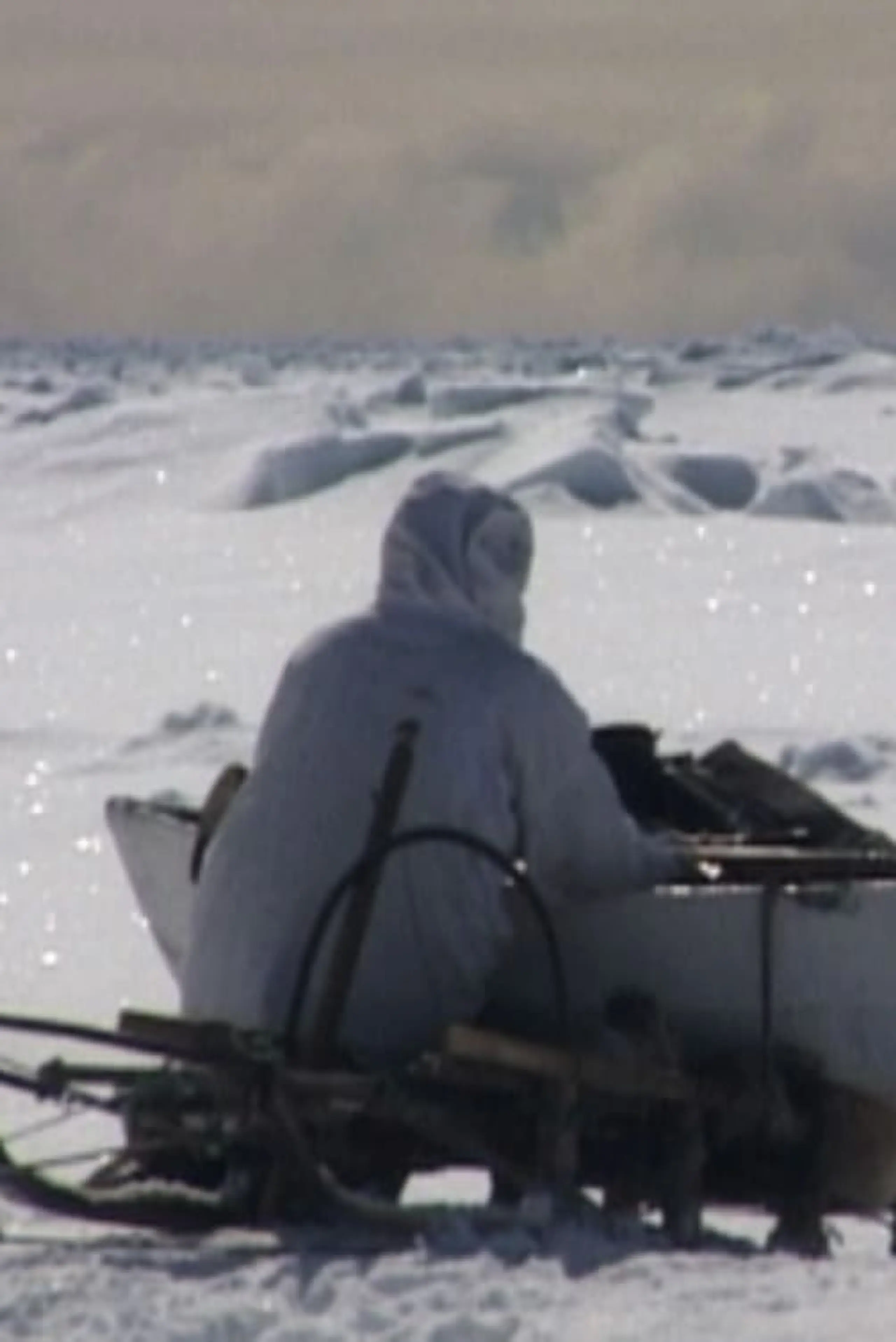 Seal Hunt