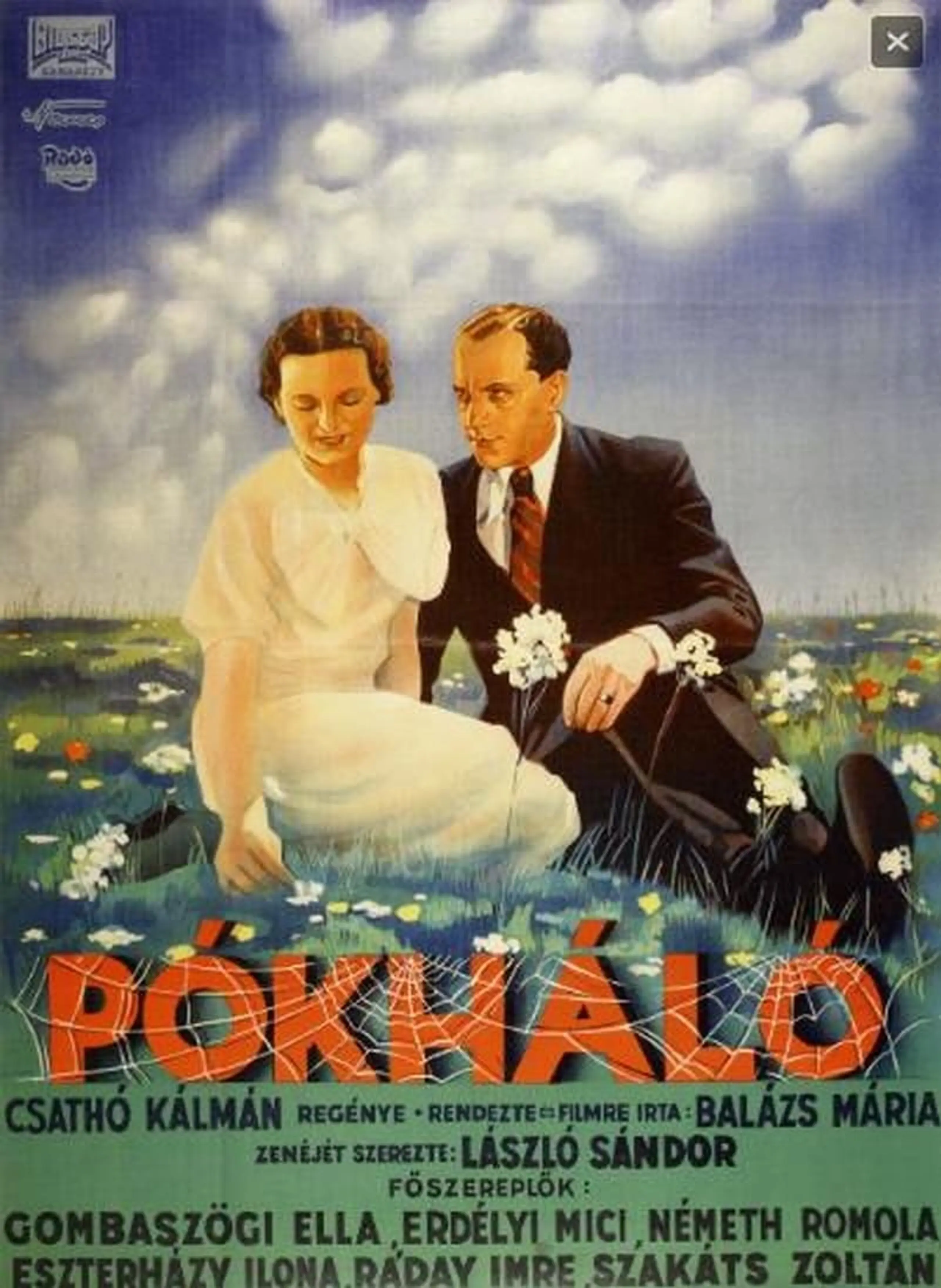 Pókháló