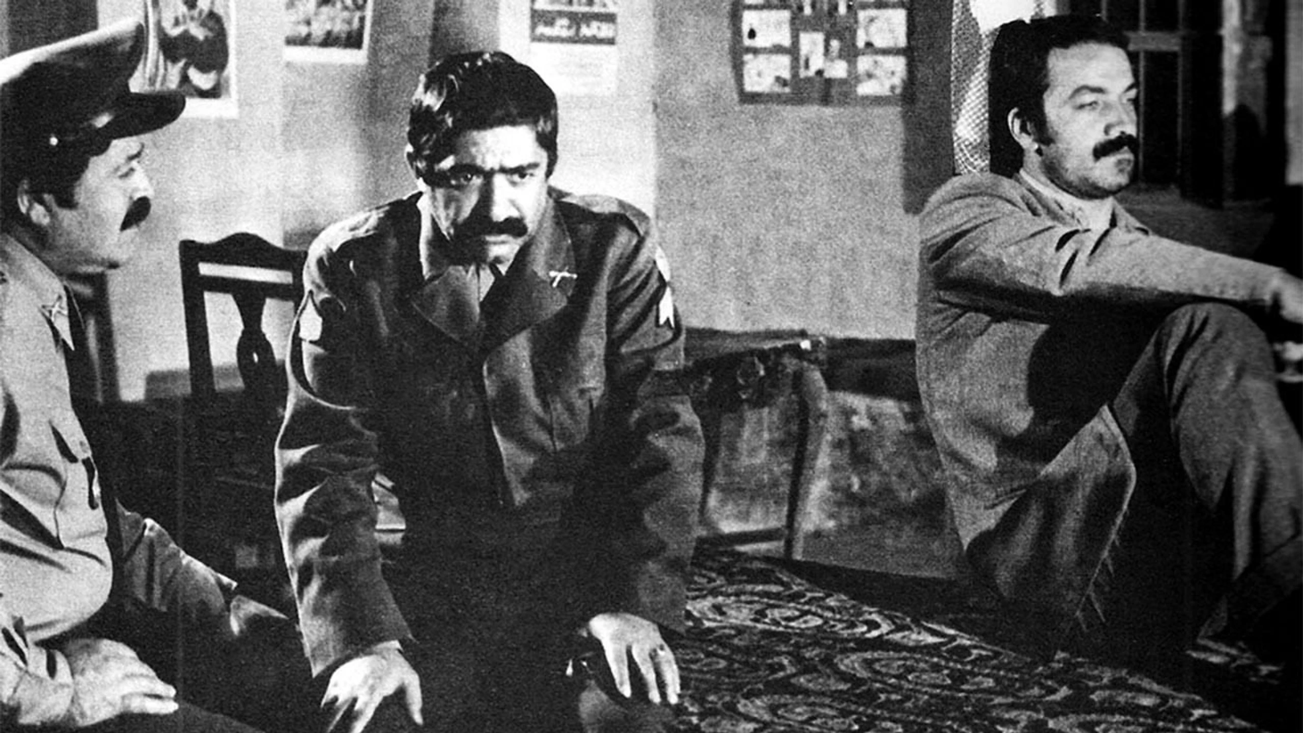 صادق کرده