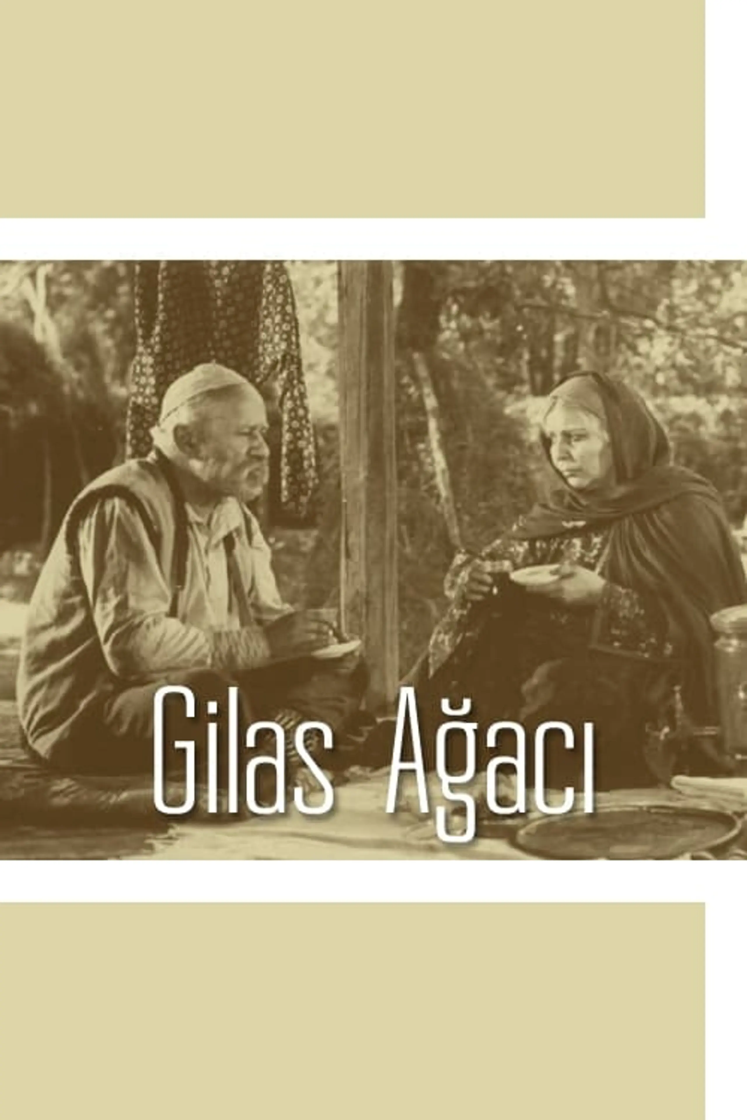 Gilas Ağacı