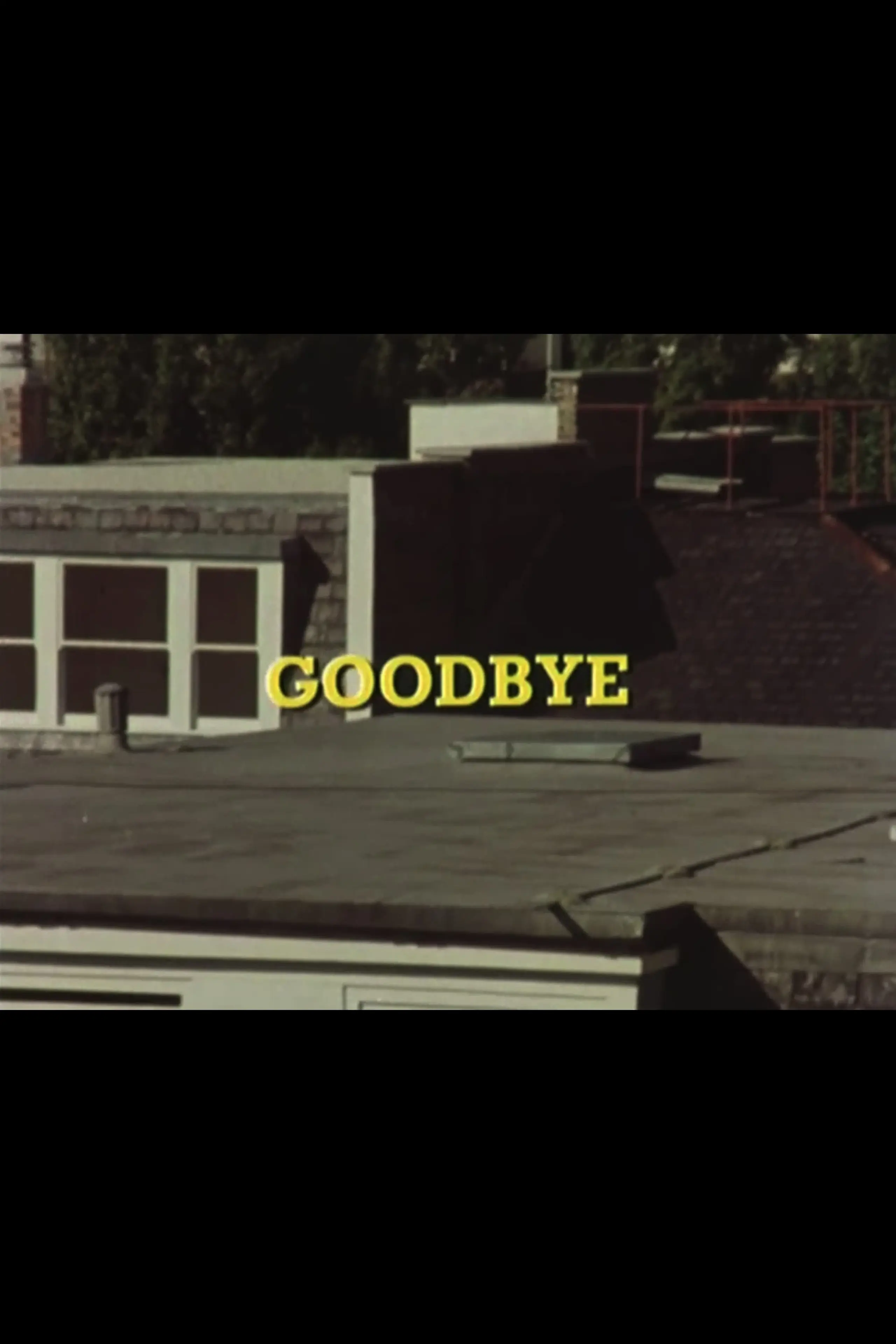 Goodbye